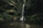 A joyful traveler standing beside a lush waterfall in a tropical forest.