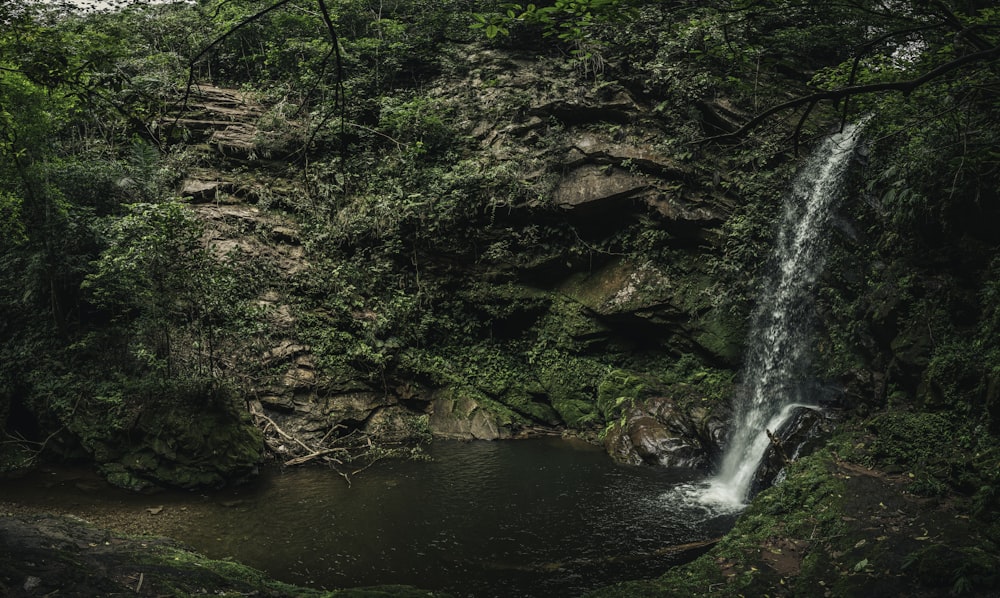 water falls in the middle of the forest