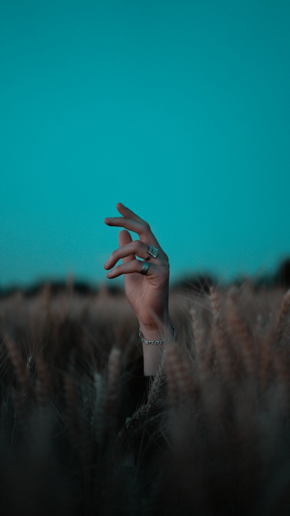 person wearing silver bracelet and bracelet