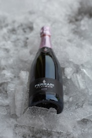 A bottle of Ferrari Maximum Rosé sparkling wine is nestled in a bed of crushed ice. The bottle features a pink foil top and a dark label, showcasing an elegant design. Ice crystals surround the bottle, adding a refreshing element to the scene.