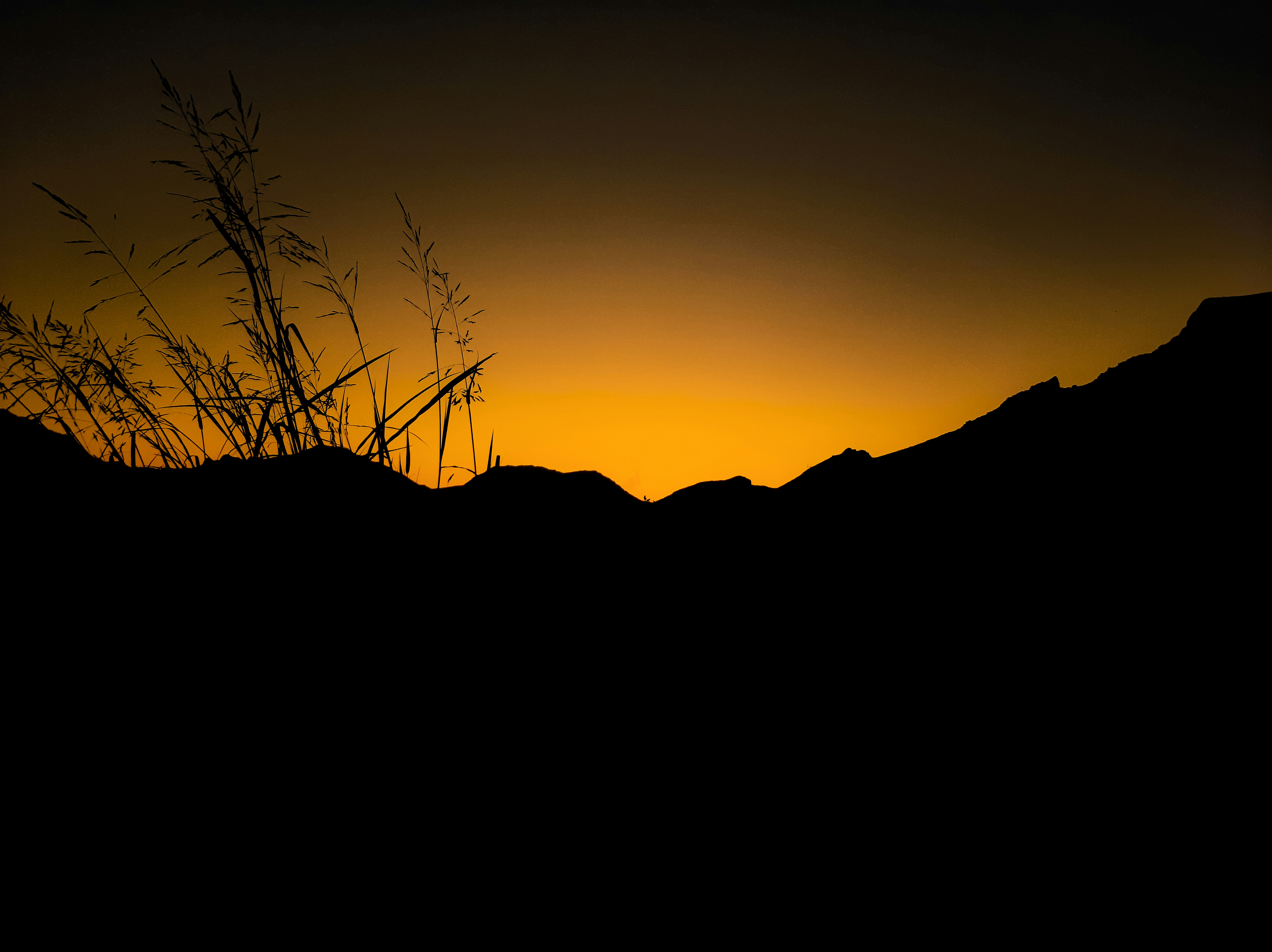 Photo by youneskarami