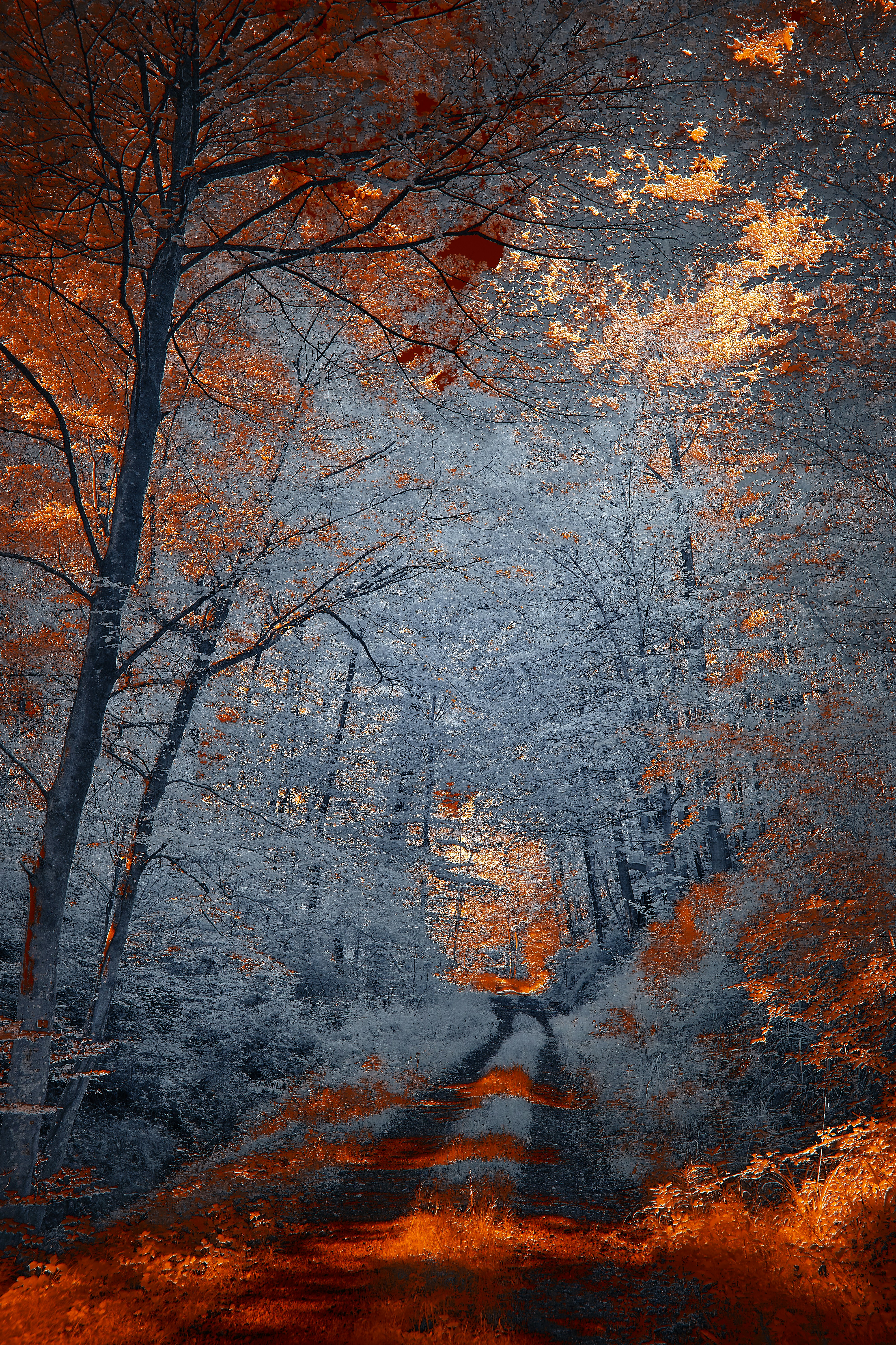 Photo by wolfgang_hasselmann