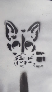 A gritty black-and-white photo of the opossum mascot spray-painting a hot pink stencil on a cracked concrete wall.