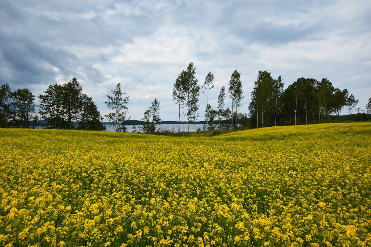 general related image for: Dagens industri: Business Network Urges Proactive Climate Policy in Sweden
