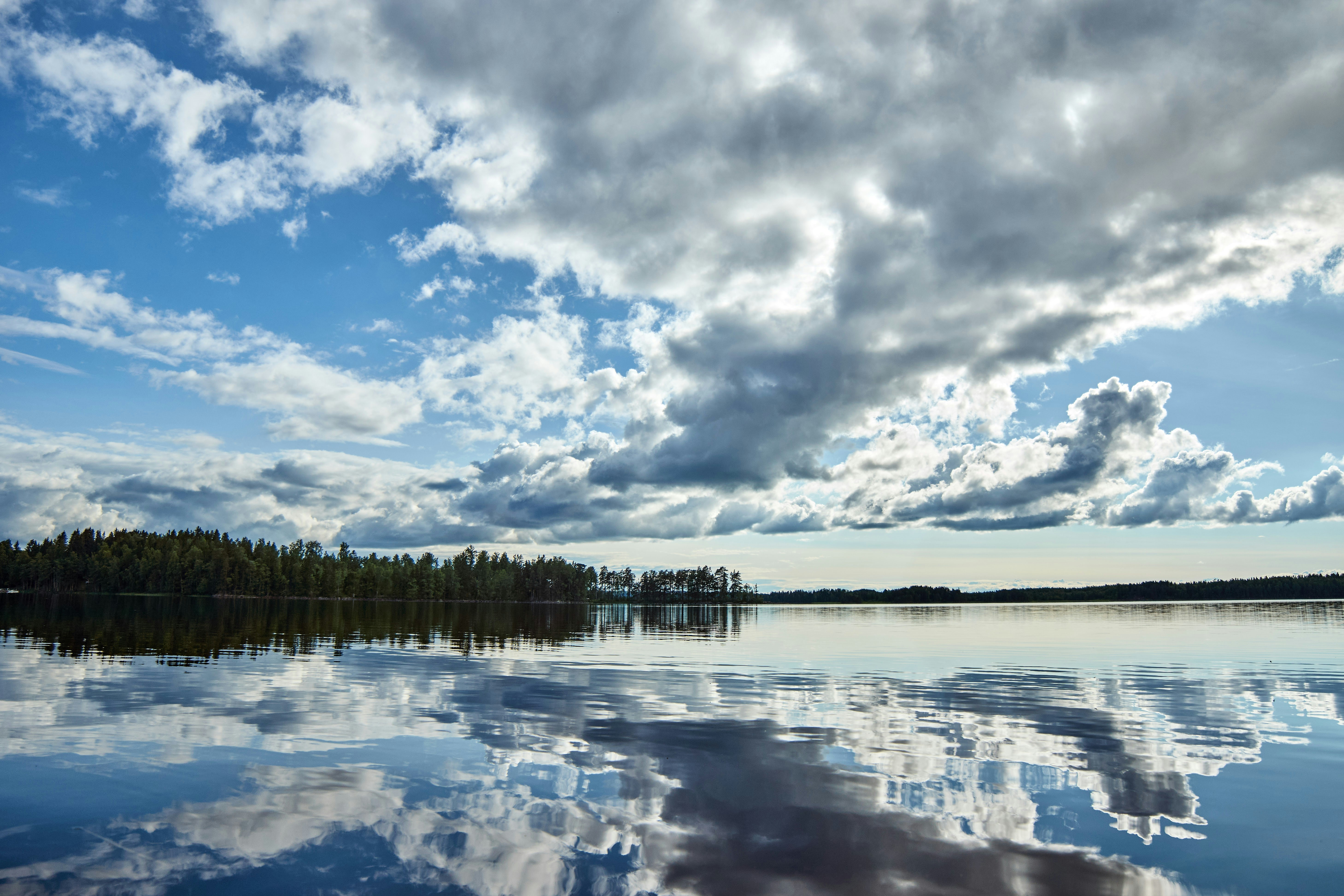 Photo by wolfgang_hasselmann