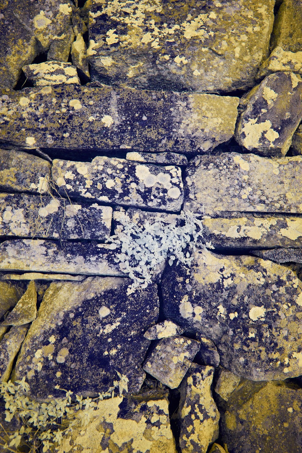gray scale photo of brick wall