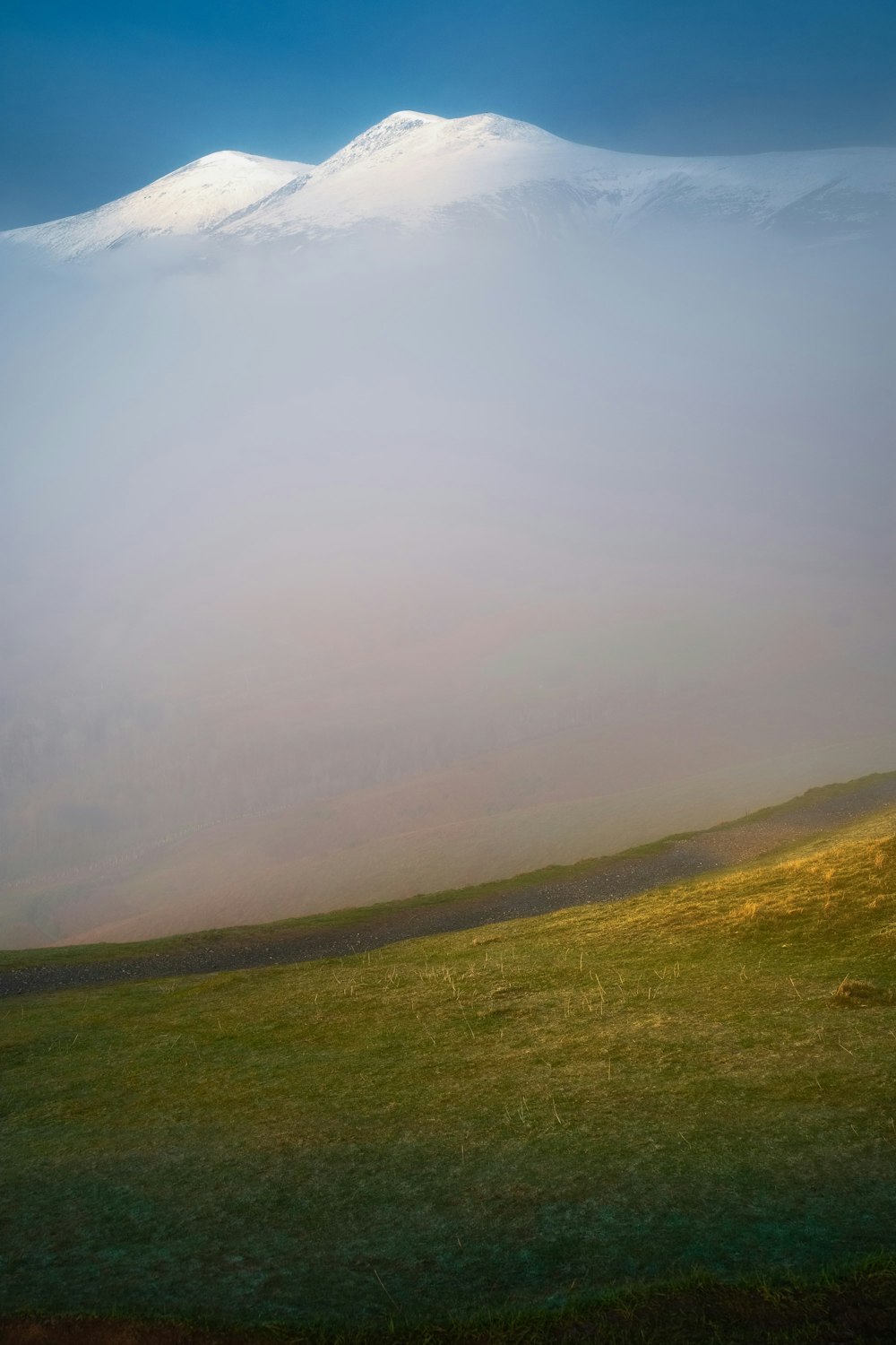 Campo di erba verde sotto cielo bianco durante il giorno