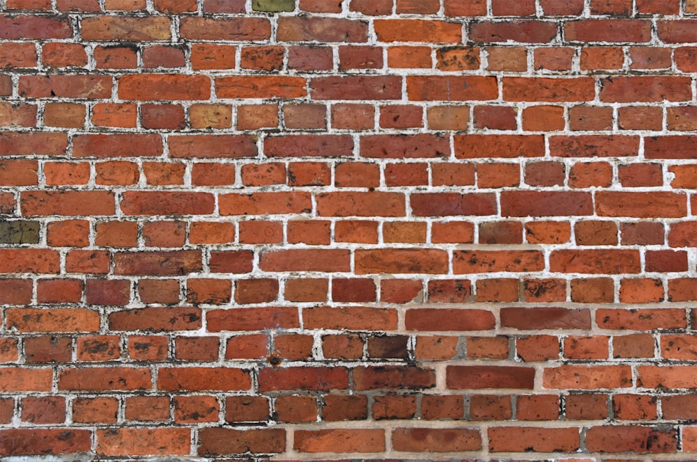 brown and white brick wall