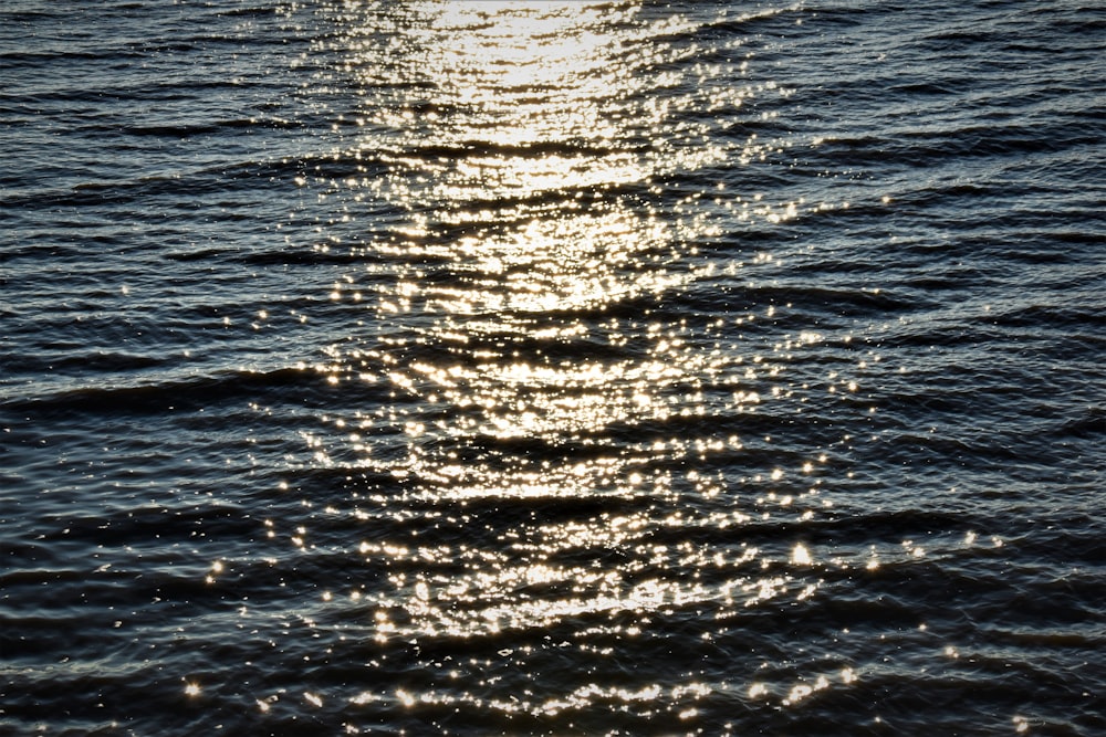 body of water during daytime