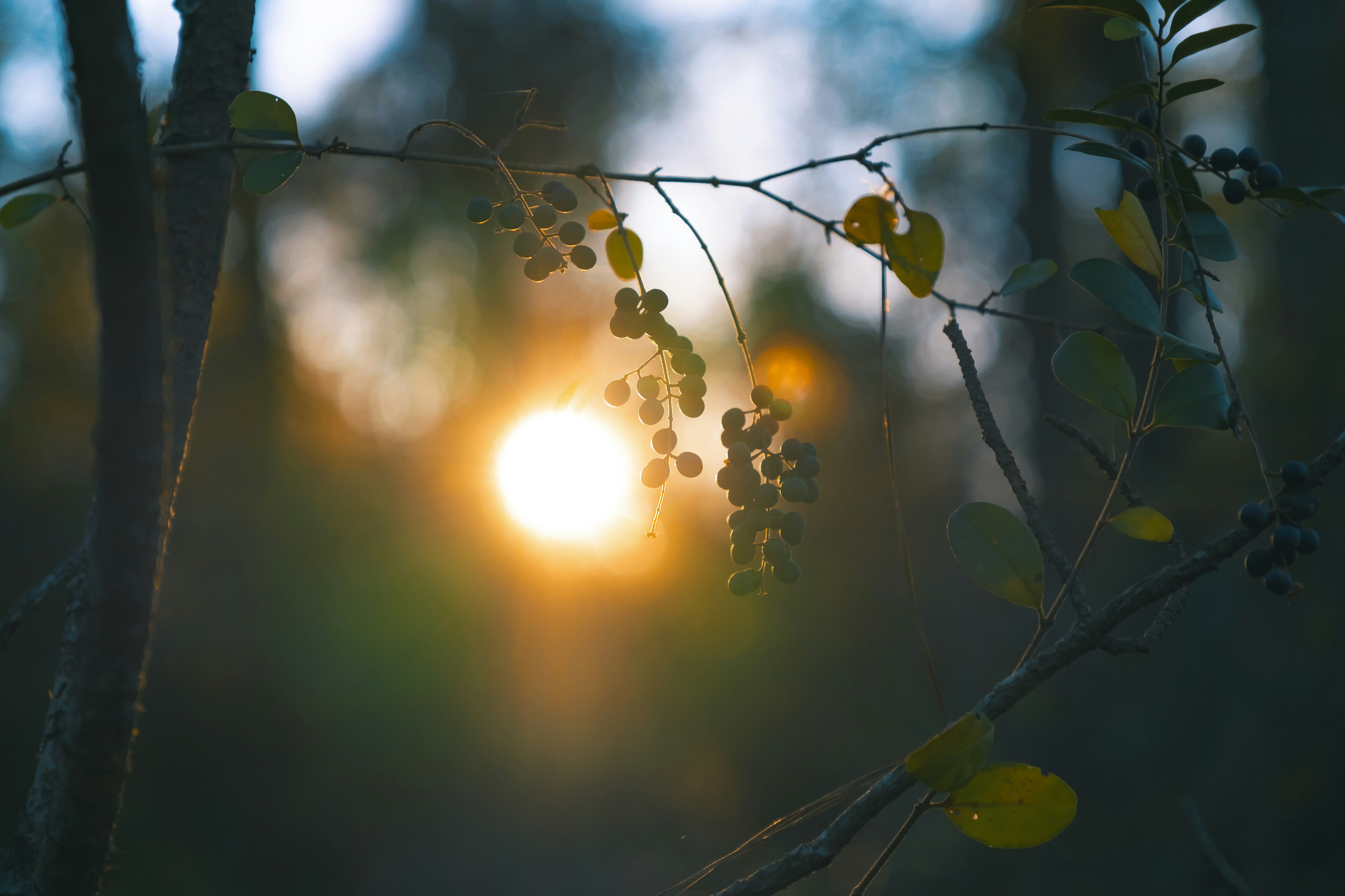 Photo by joshuaworoniecki