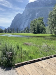 A serene natural landscape featuring lush green mountains and a winding trail.