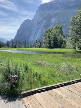 A serene natural landscape featuring lush green mountains and a winding trail.