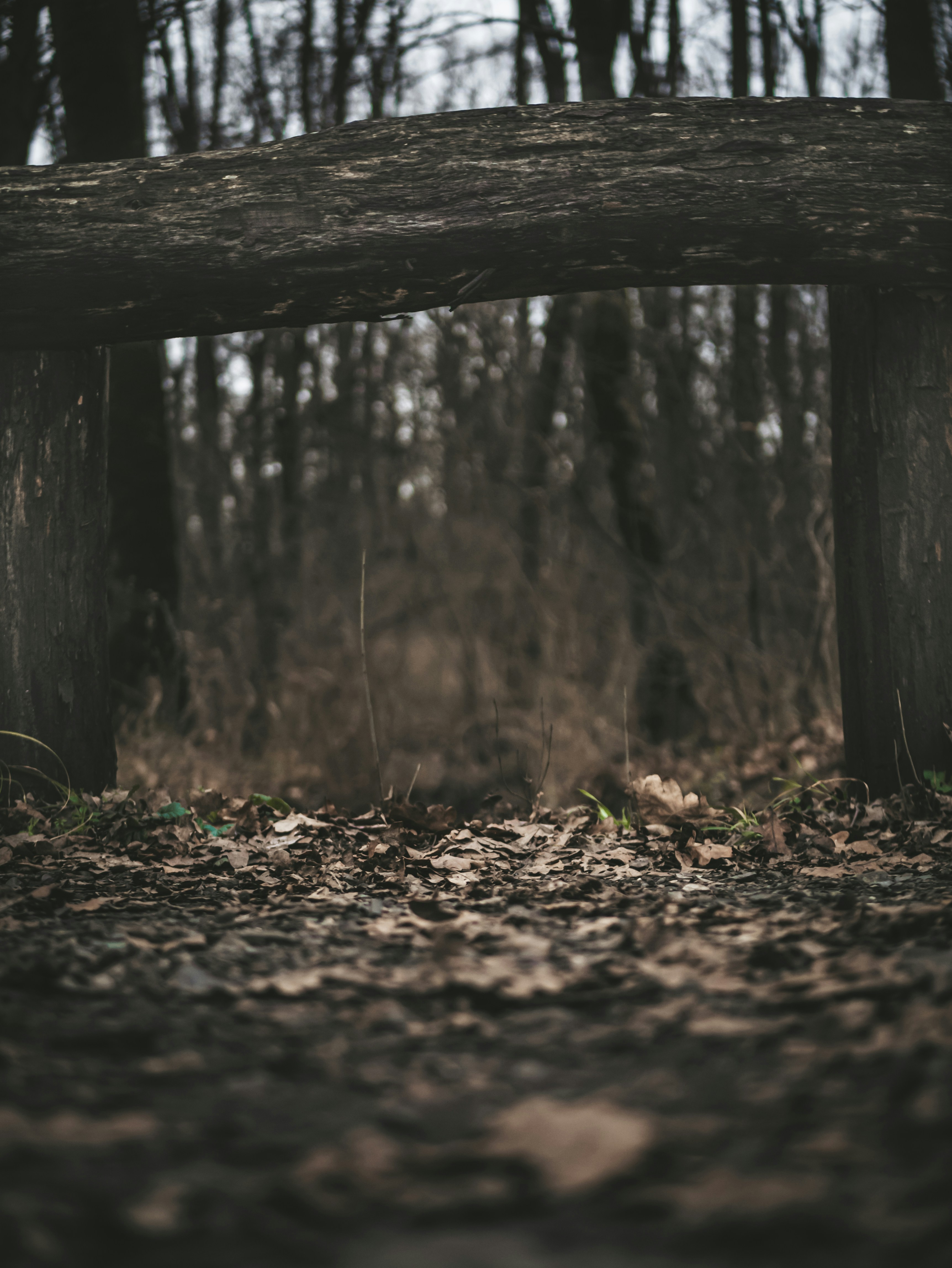 Photo by samialmouallem