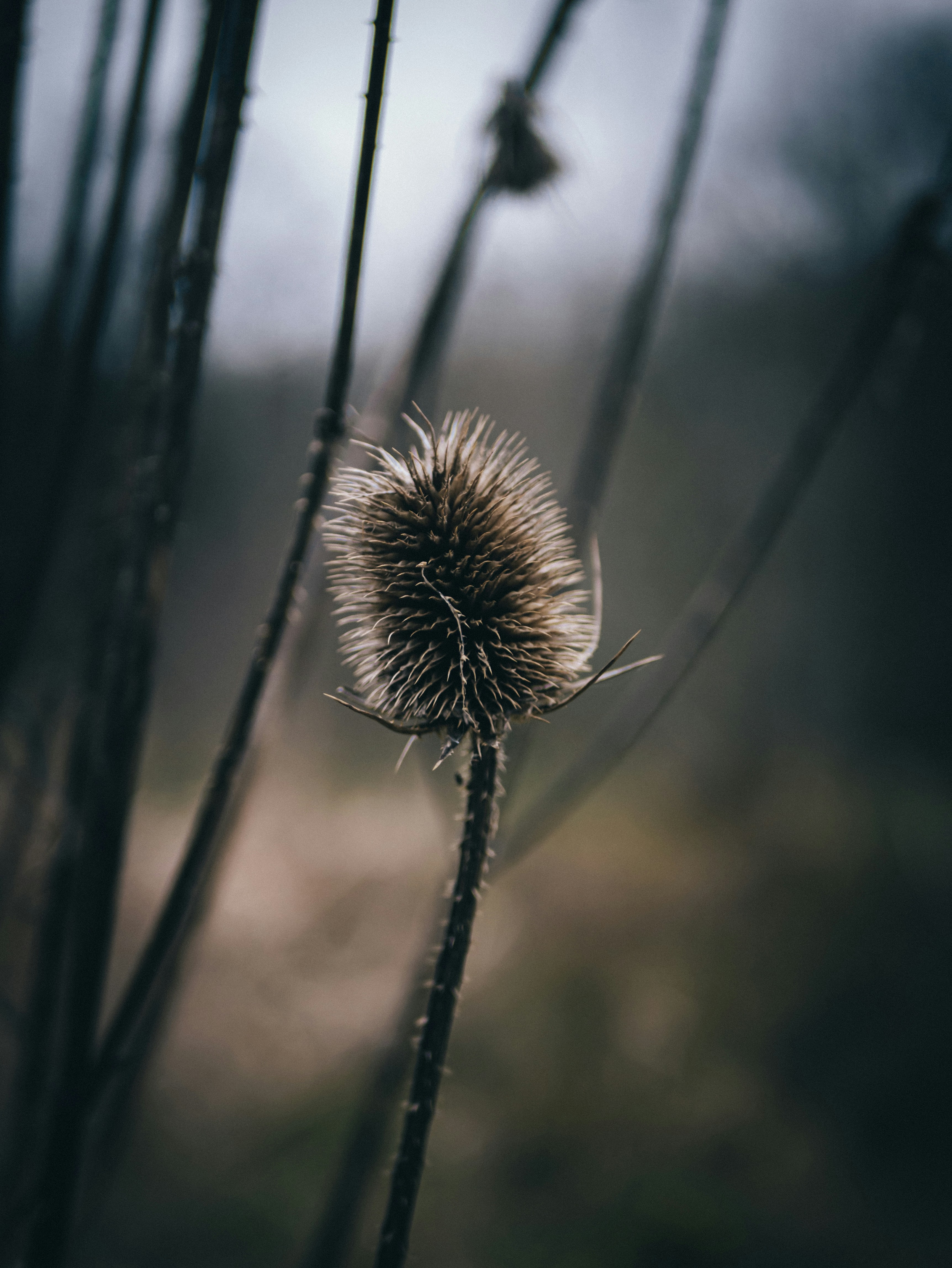 Photo by samialmouallem