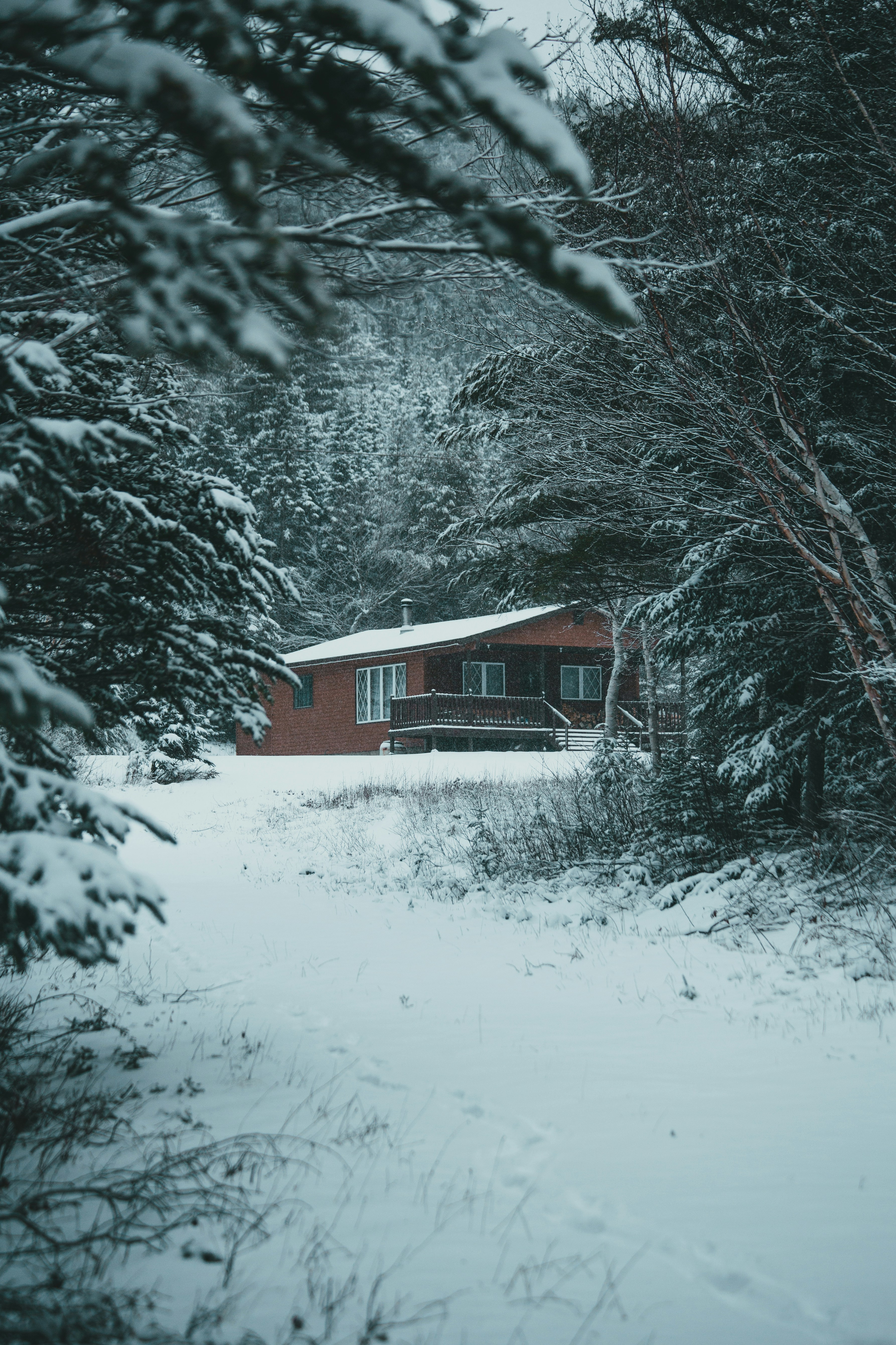 Photo by introspectivedsgn