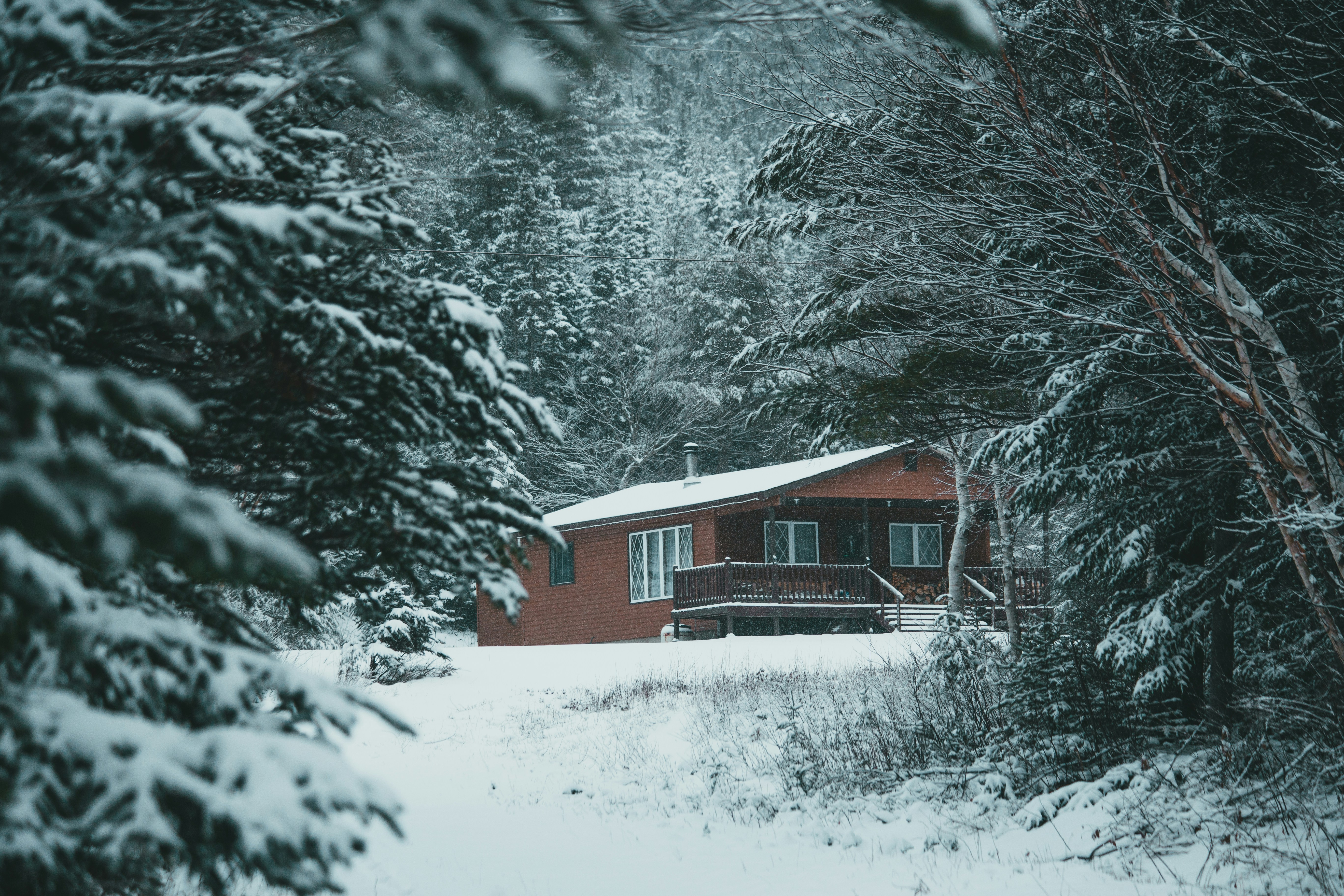 Photo by introspectivedsgn