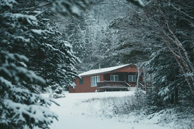 Rustic cabin nestled in a forest with snow-covered trees.