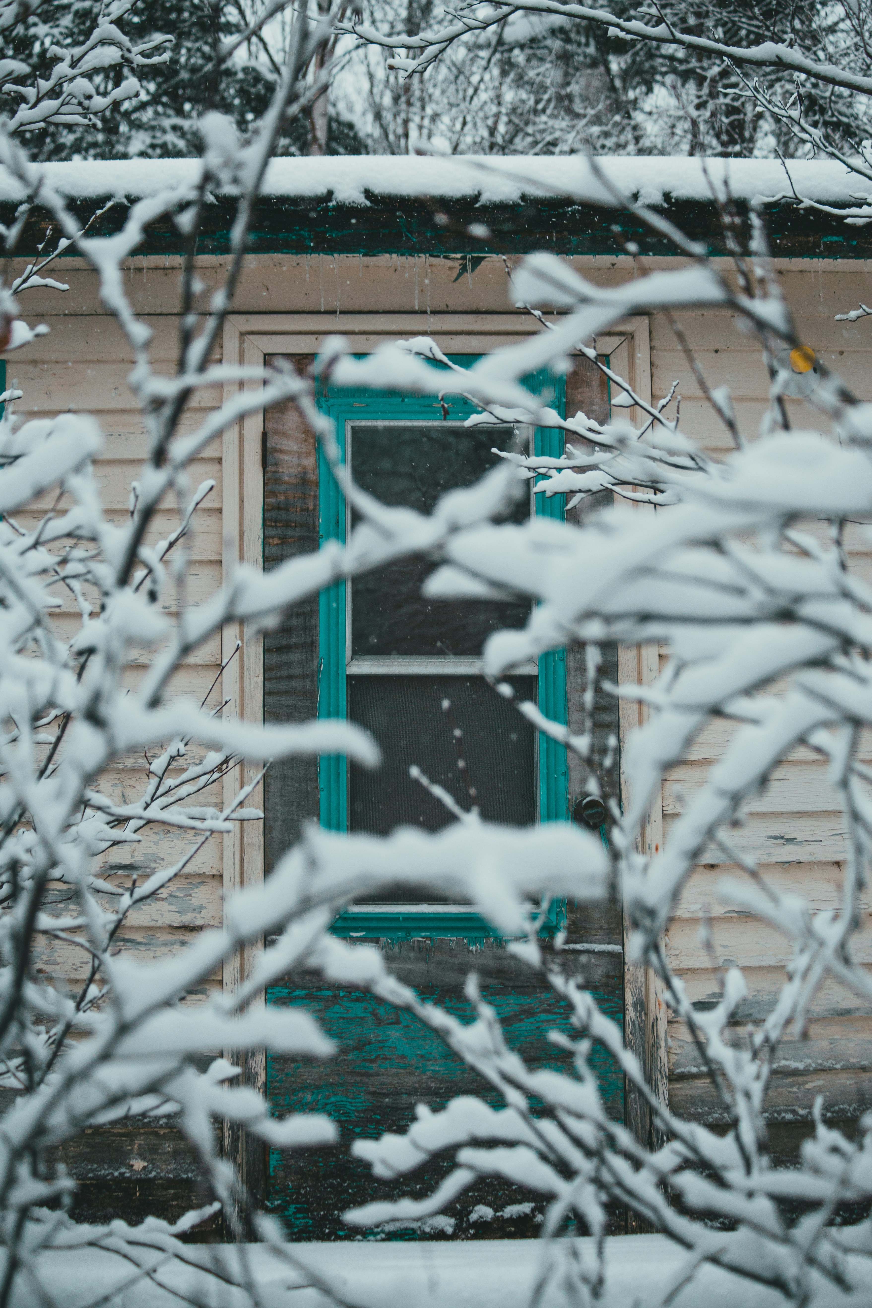 Photo by introspectivedsgn