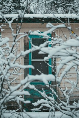 A snow-covered house with a vintage teal-painted door is partially obscured by tree branches laden with fresh snow. The scene is set in a wintery environment, emphasizing the contrast between the white snow and the muted tones of the building.