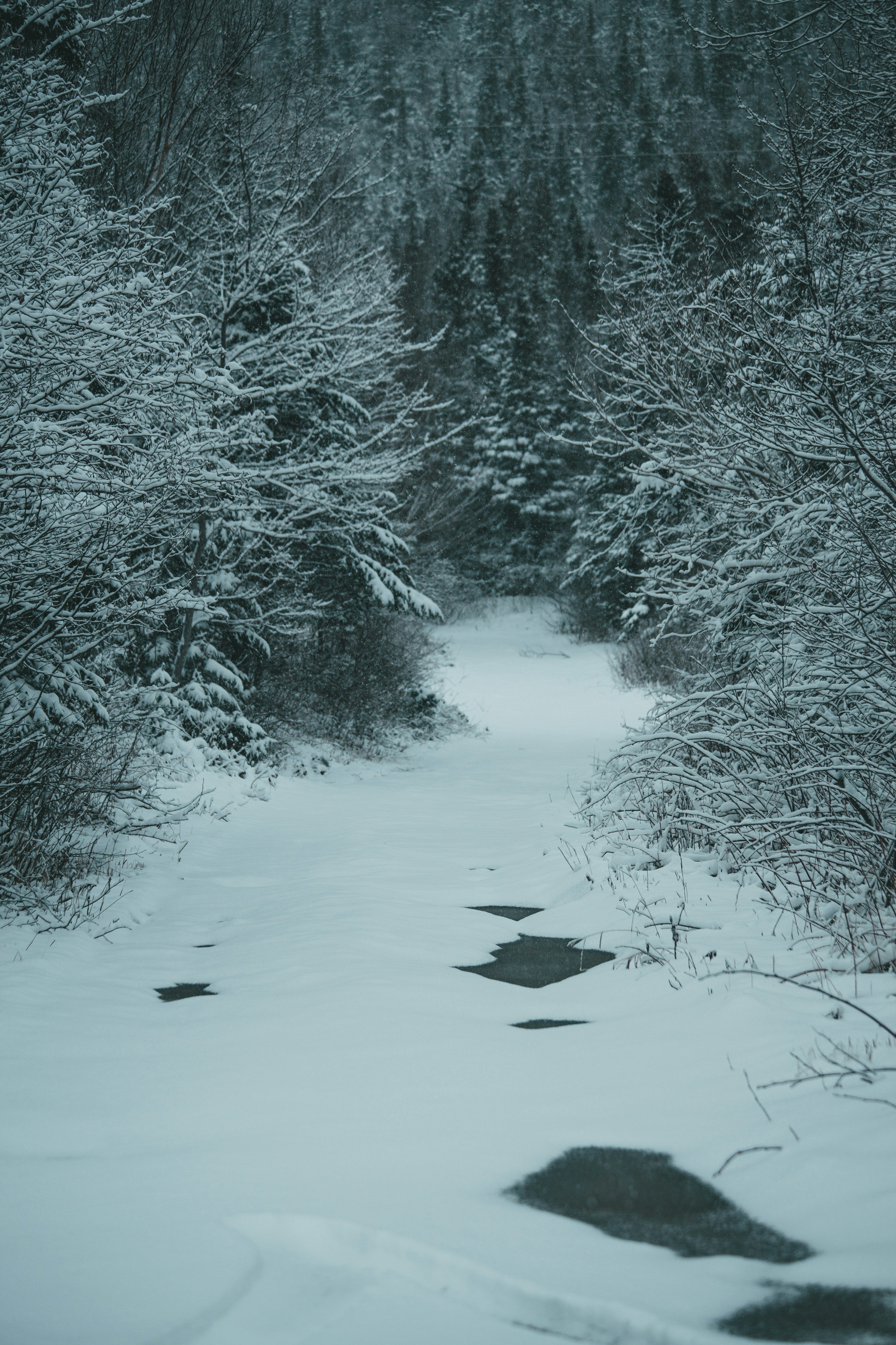 Photo by introspectivedsgn