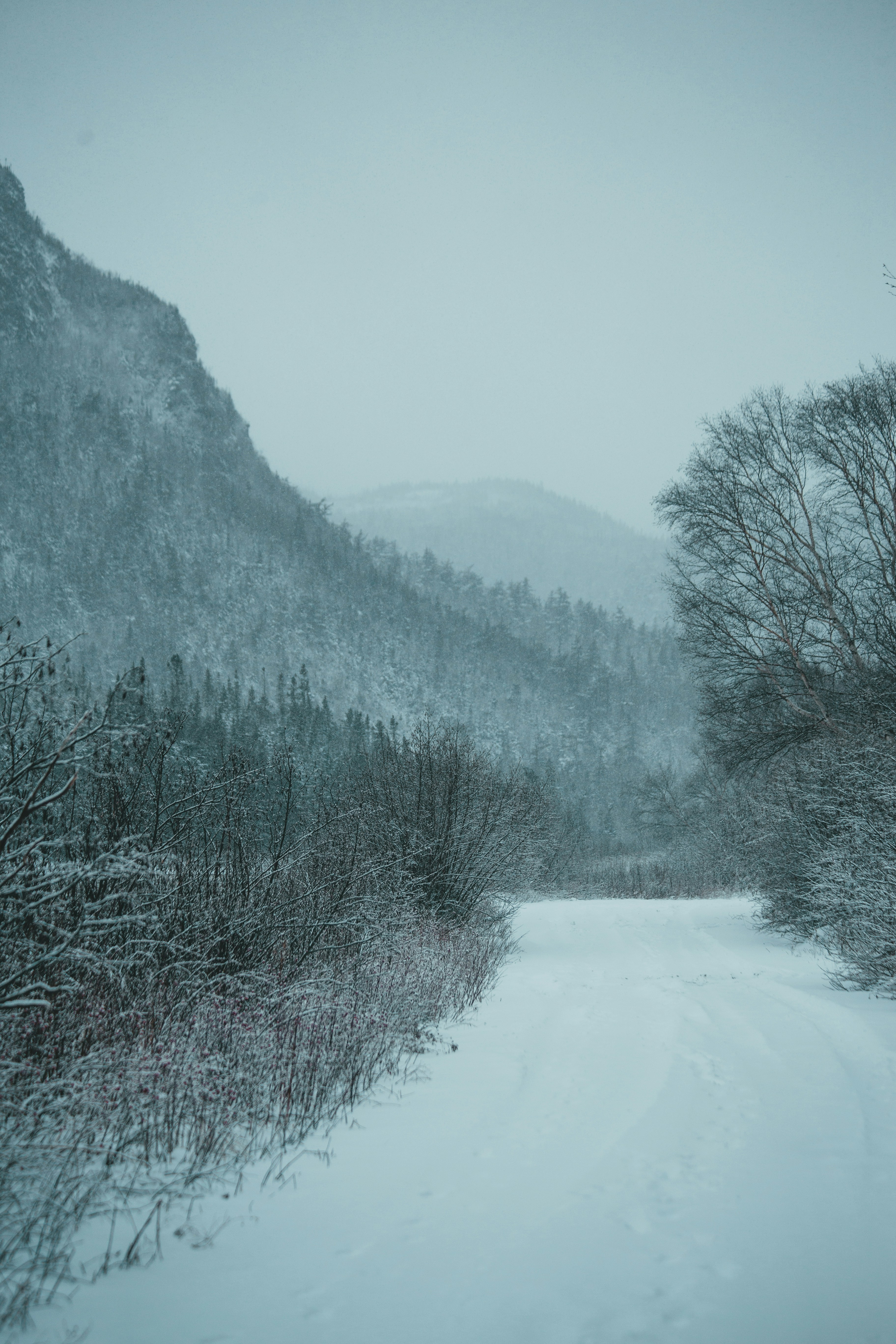 Photo by introspectivedsgn