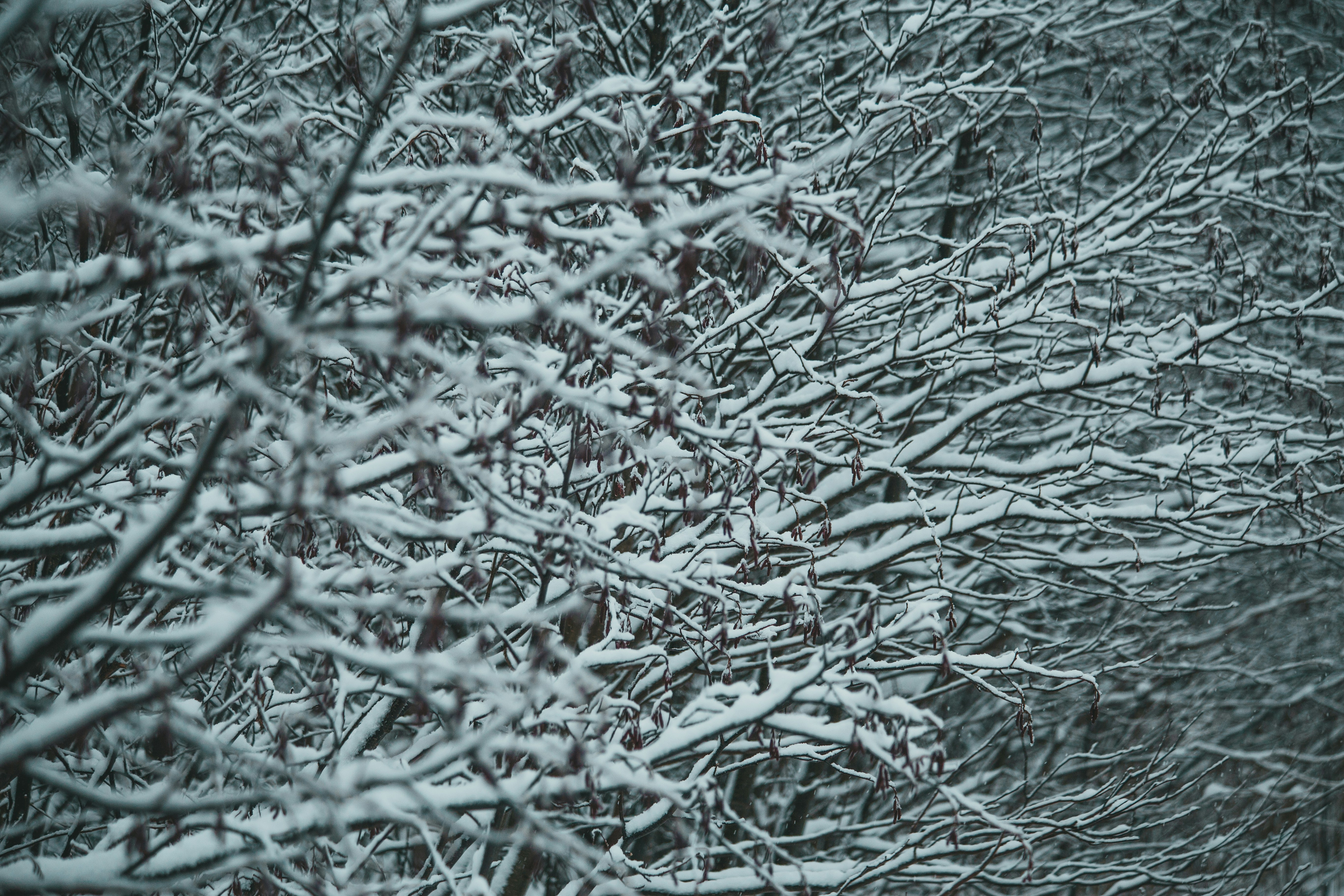 Photo by introspectivedsgn