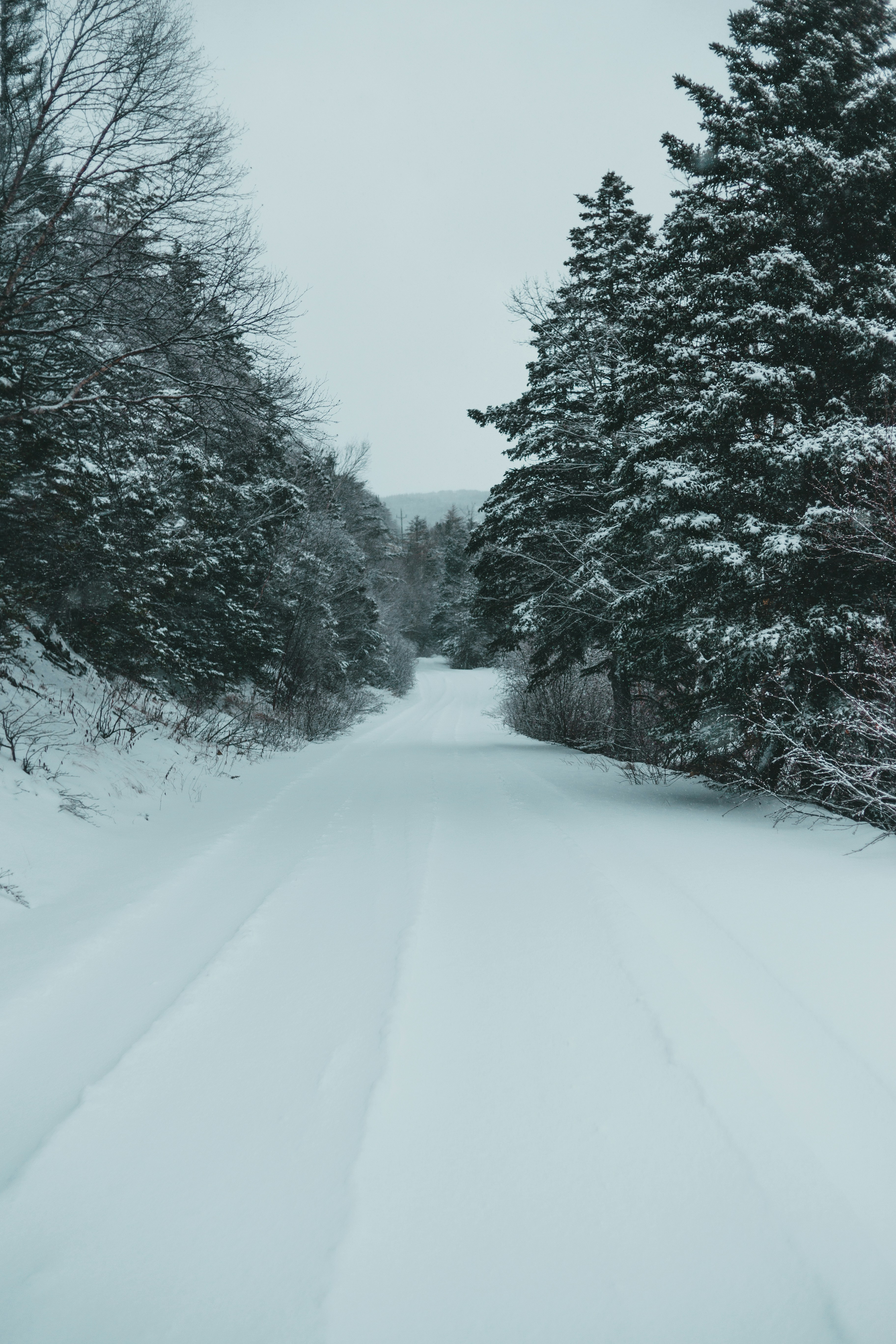 Photo by introspectivedsgn