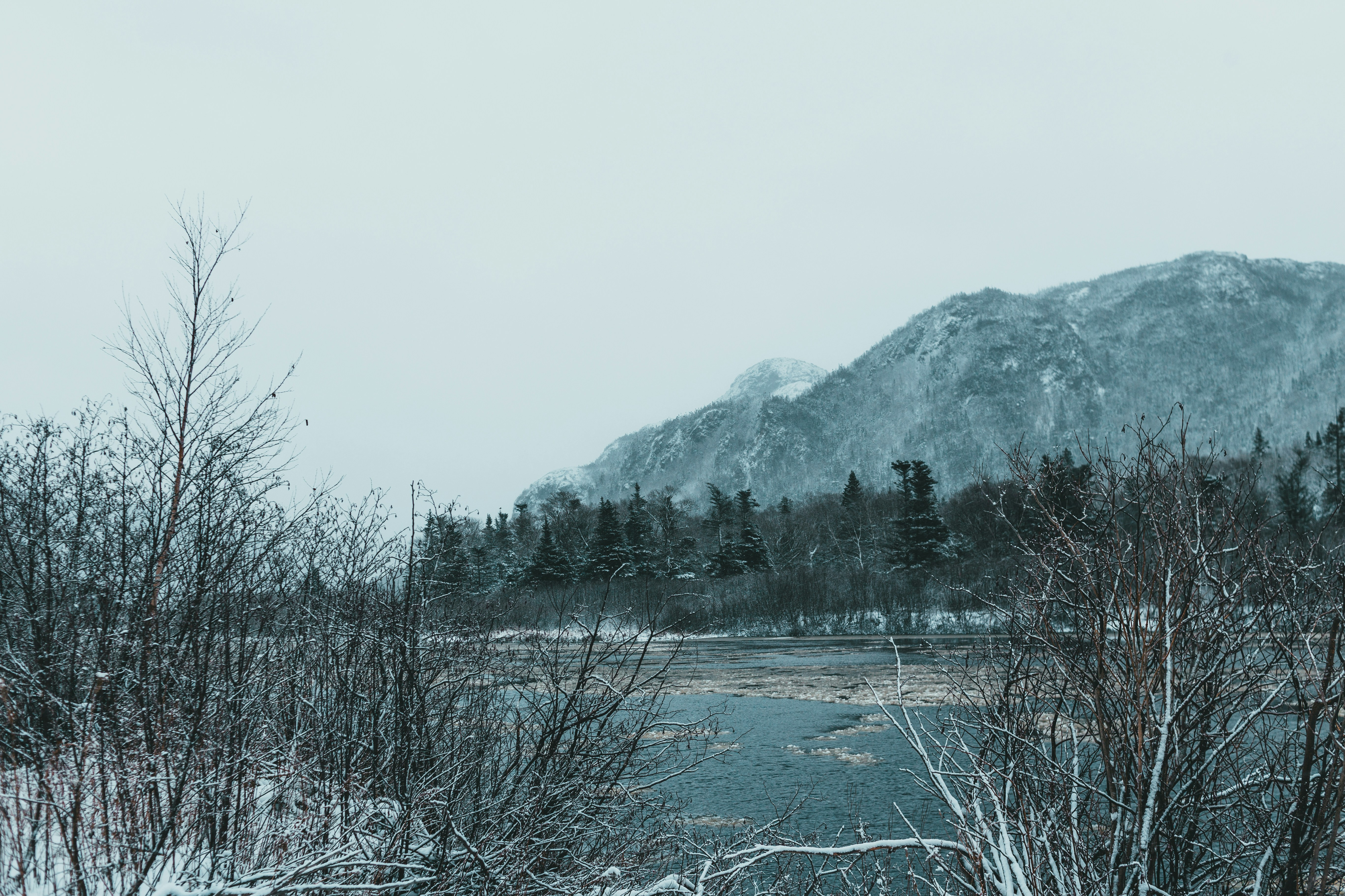 Photo by introspectivedsgn