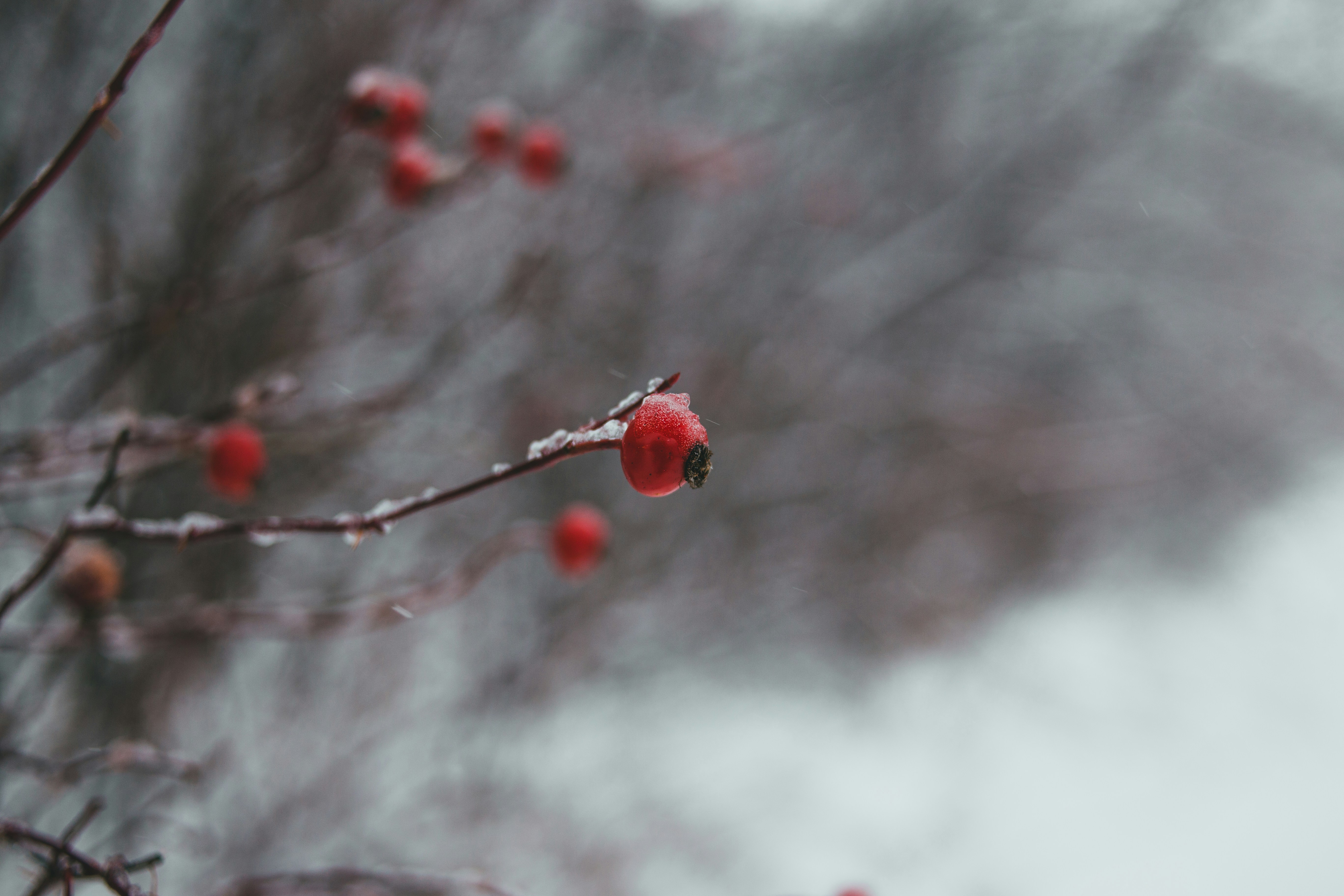 Photo by introspectivedsgn