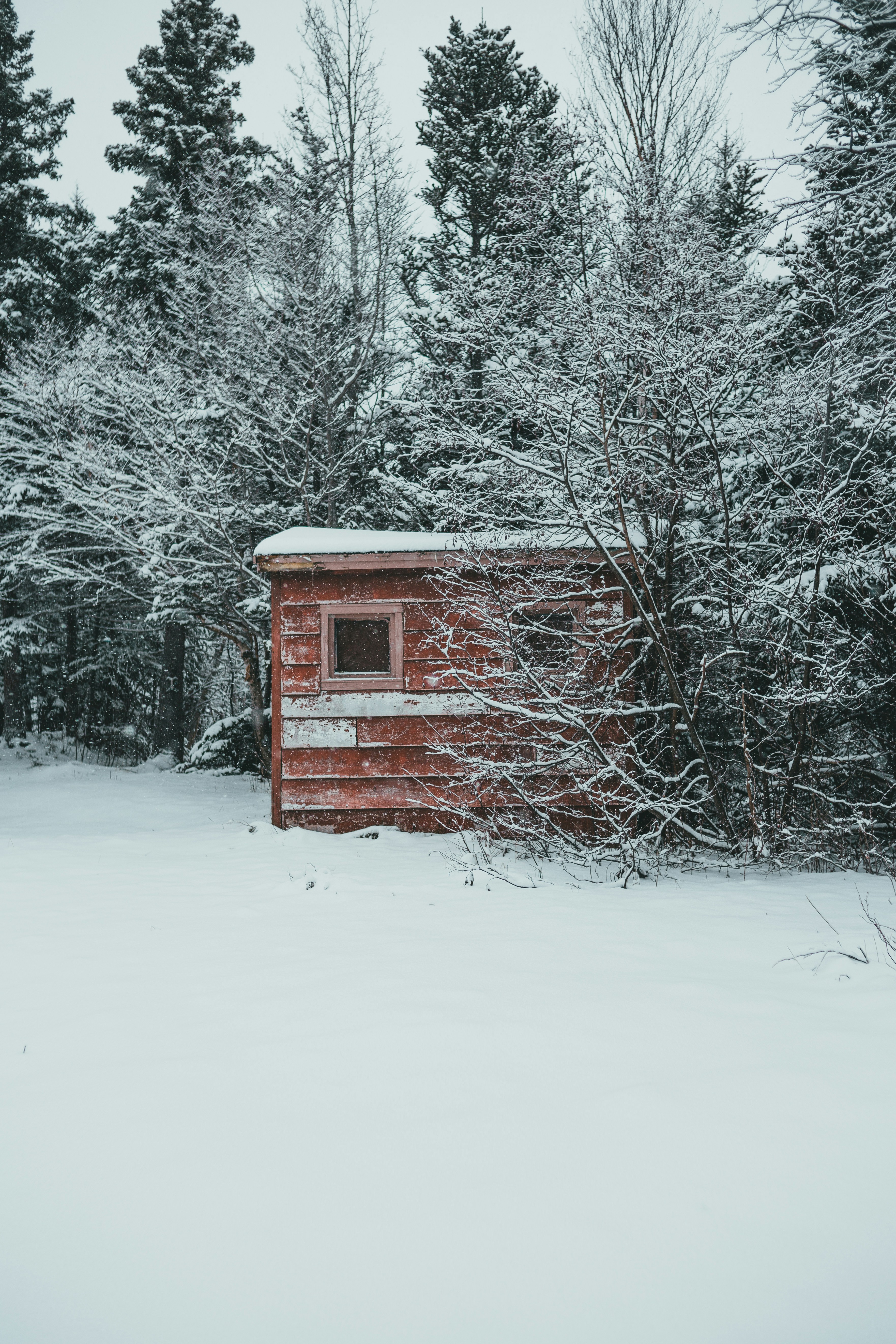 Photo by introspectivedsgn