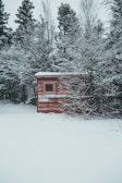 A sturdy wooden shed nestled in a snowy Alaskan backyard.