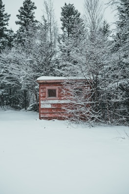 A sturdy wooden shed nestled in a snowy Alaskan backyard.