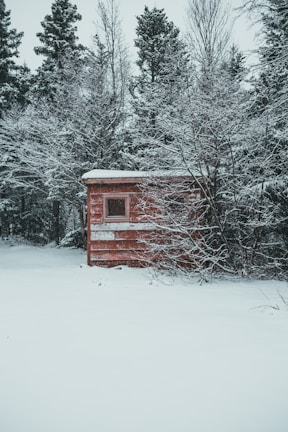 A sturdy wooden shed nestled in a snowy Alaskan backyard.