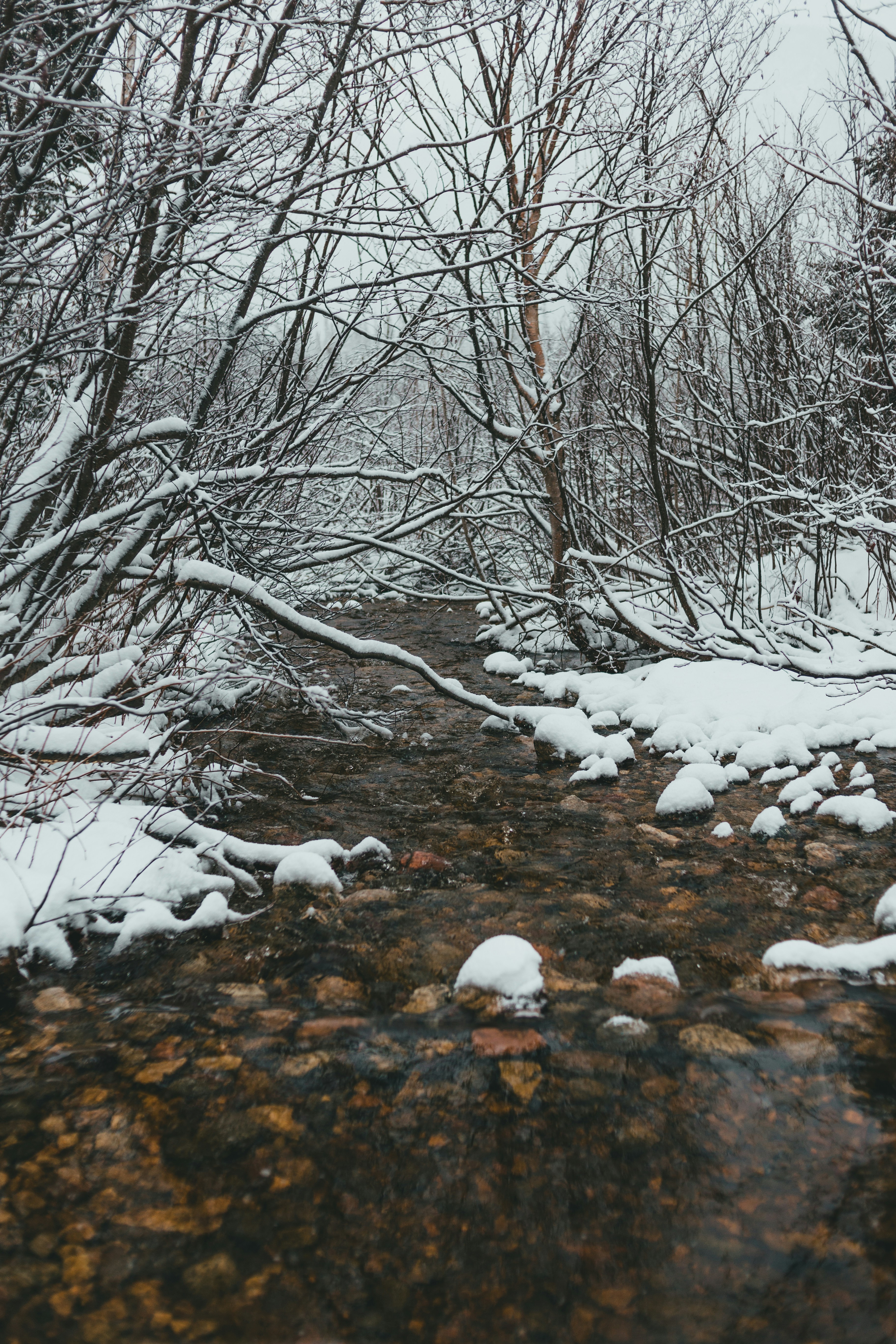 Photo by introspectivedsgn