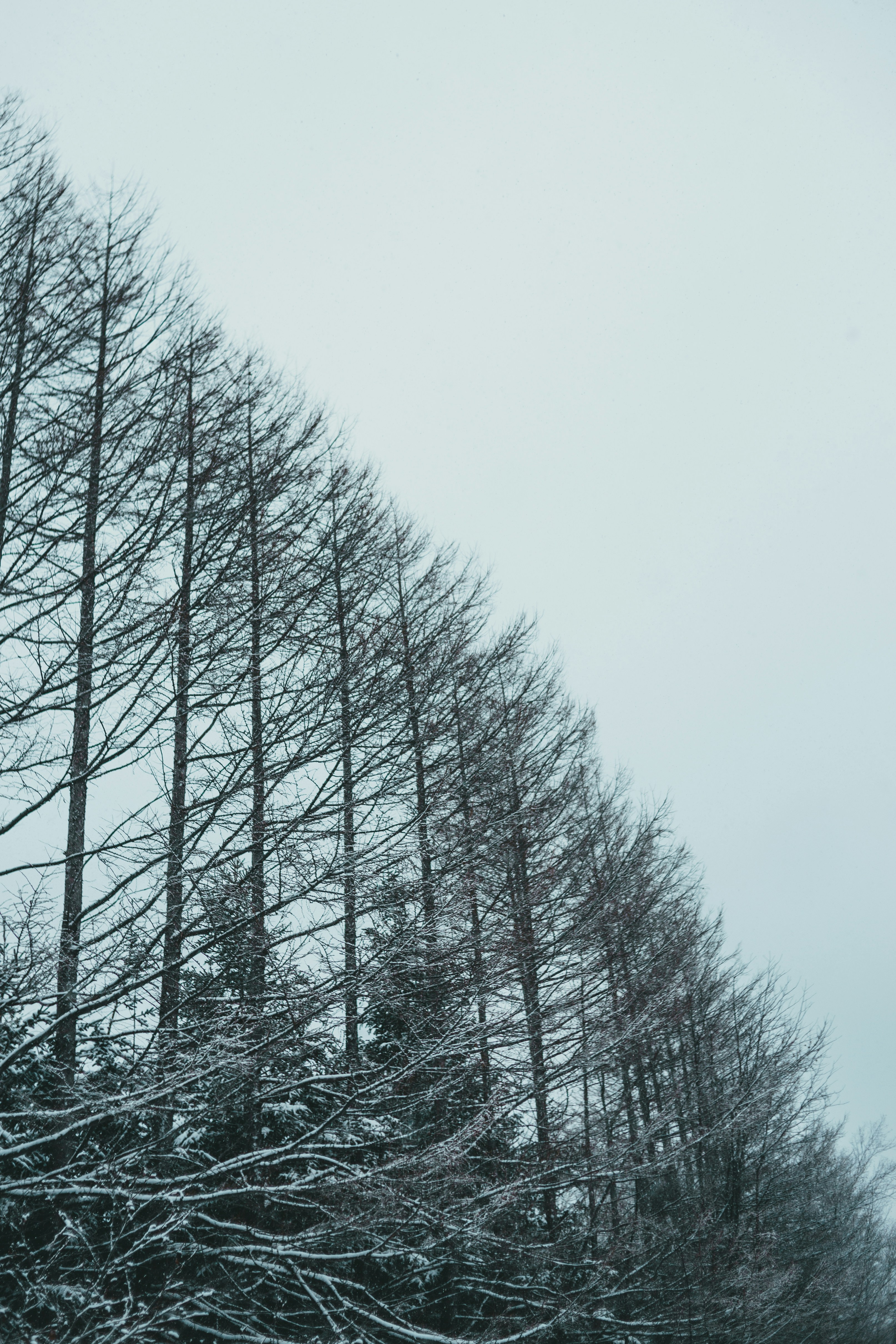 Photo by introspectivedsgn