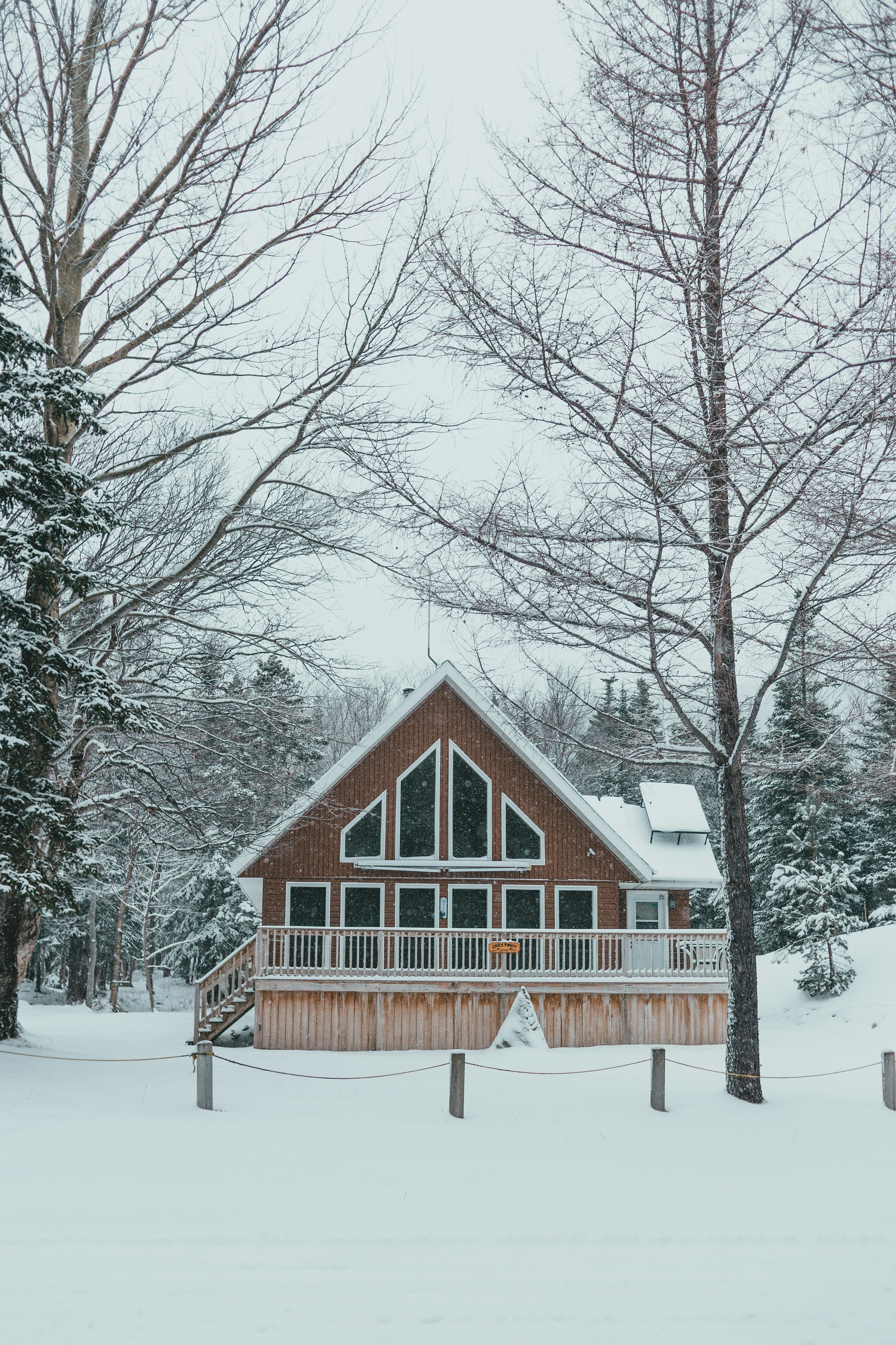 Photo by introspectivedsgn