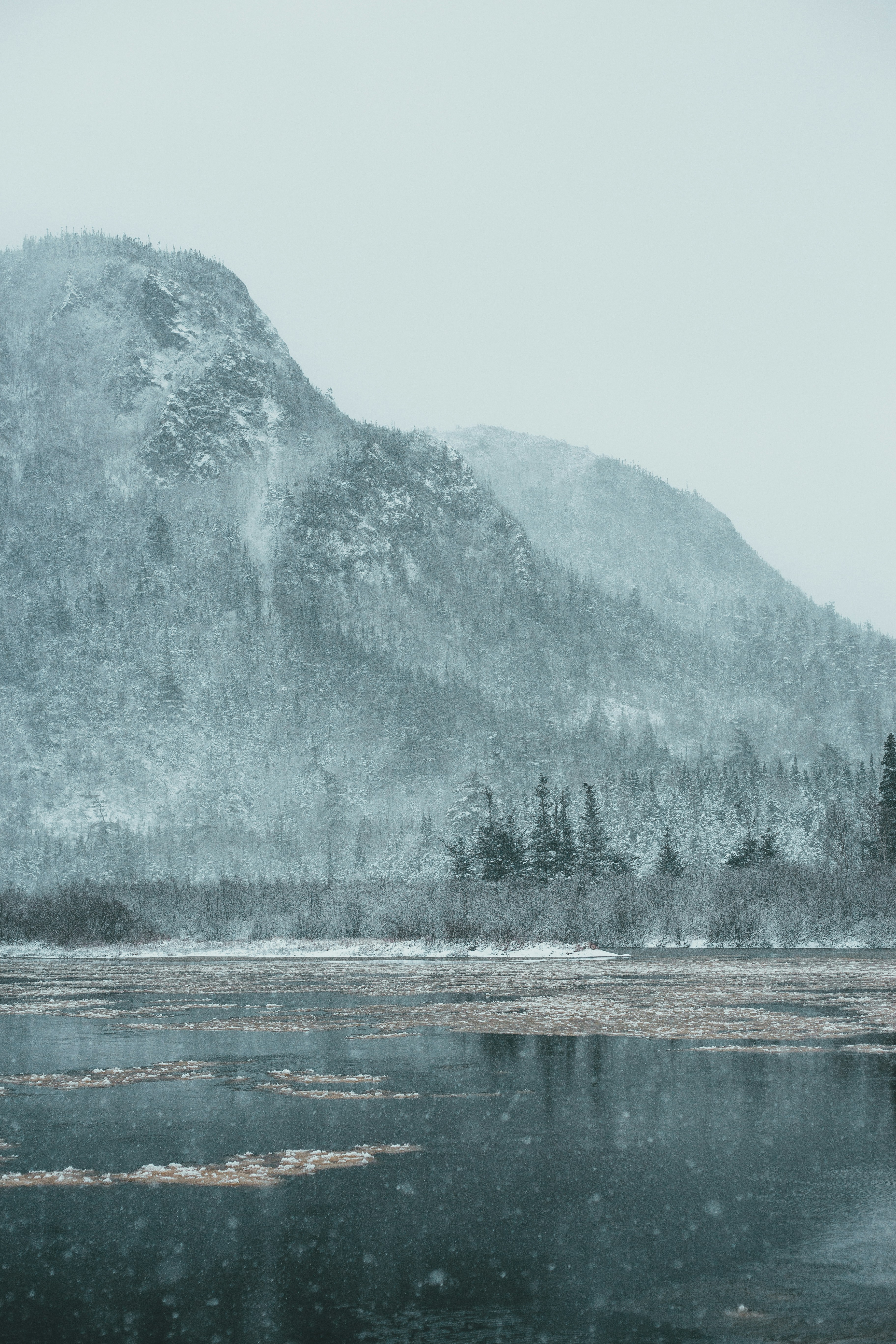 Photo by introspectivedsgn