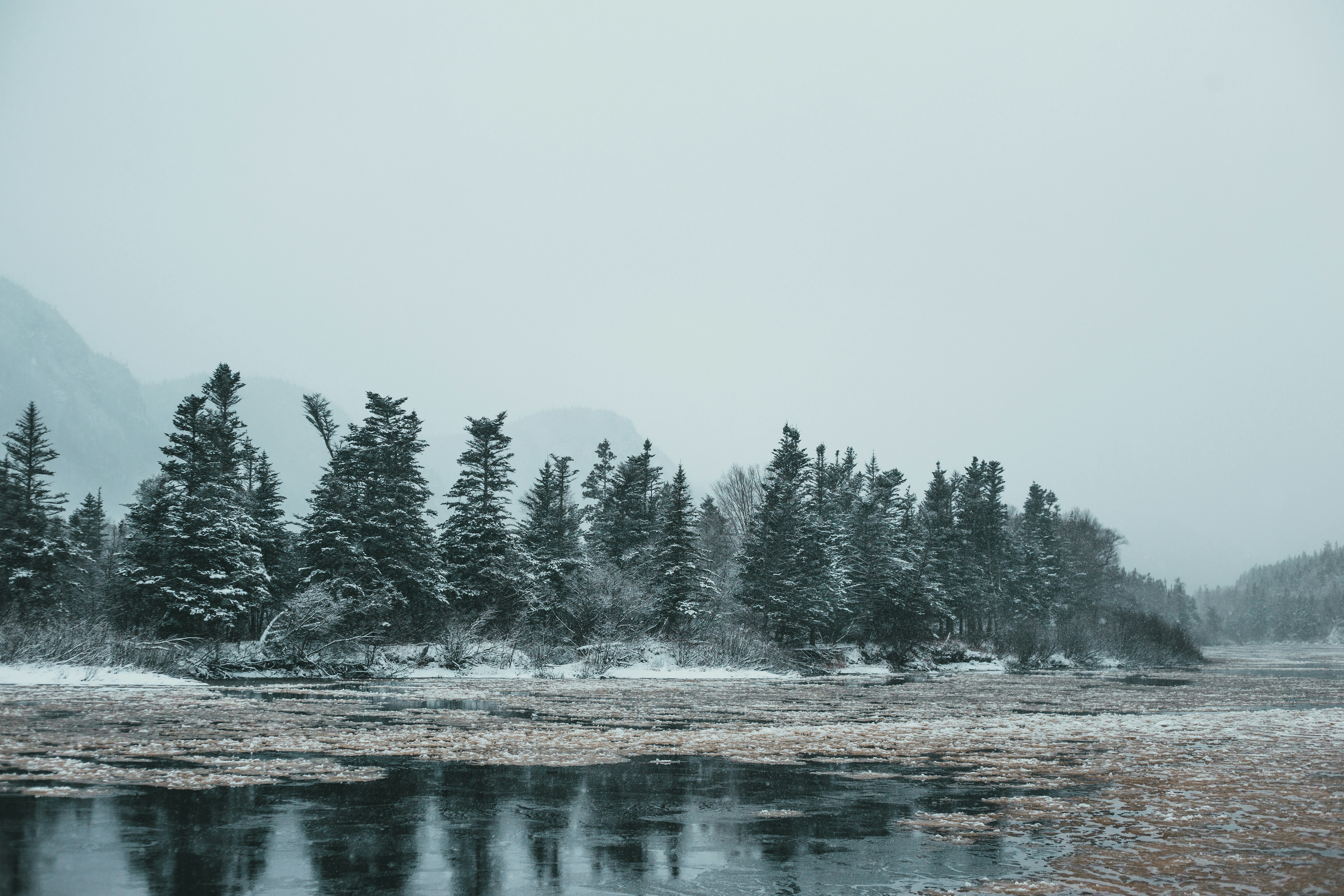 Photo by introspectivedsgn