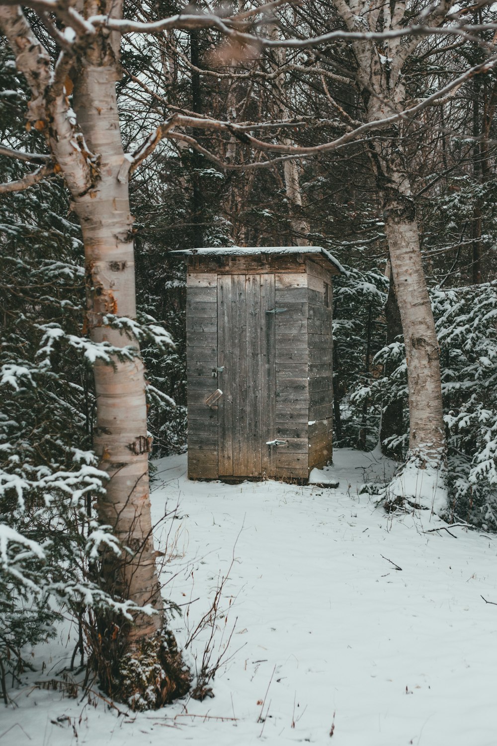 brown wooden house in the middle of snow covered ground