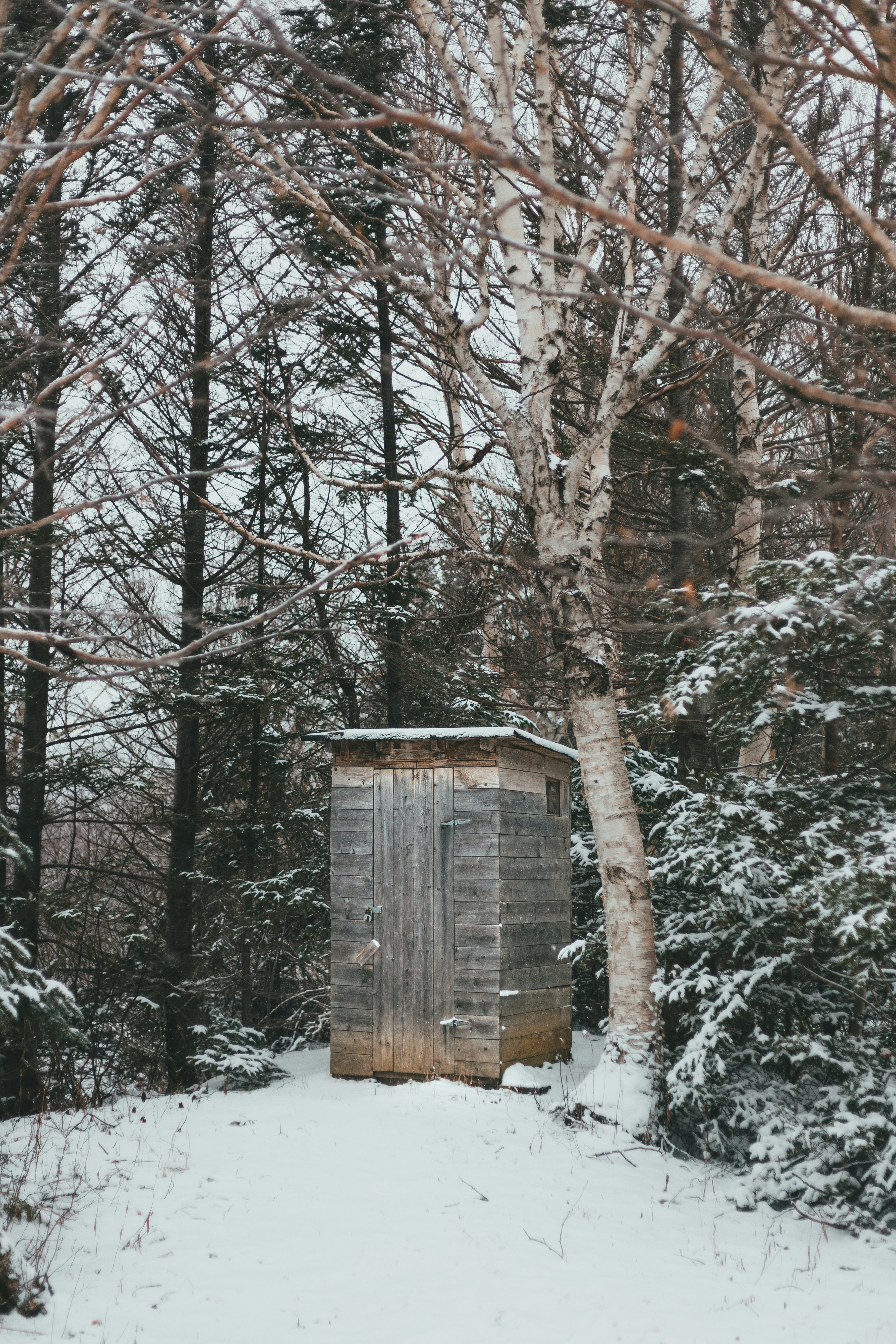 Photo by introspectivedsgn