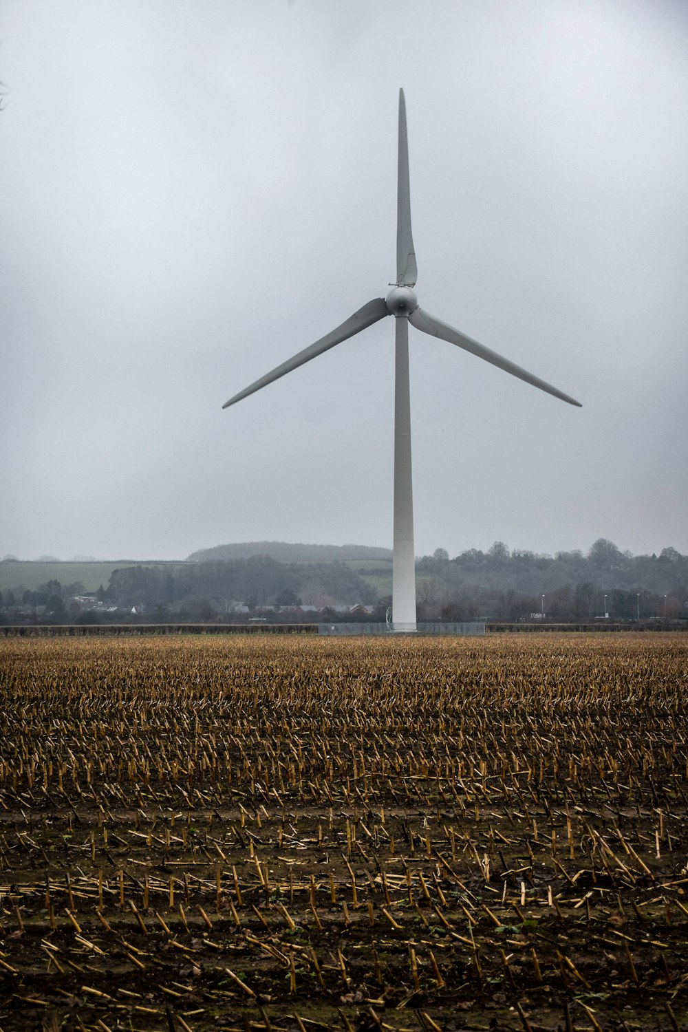 white wind turbine on brown wheat field during daytime