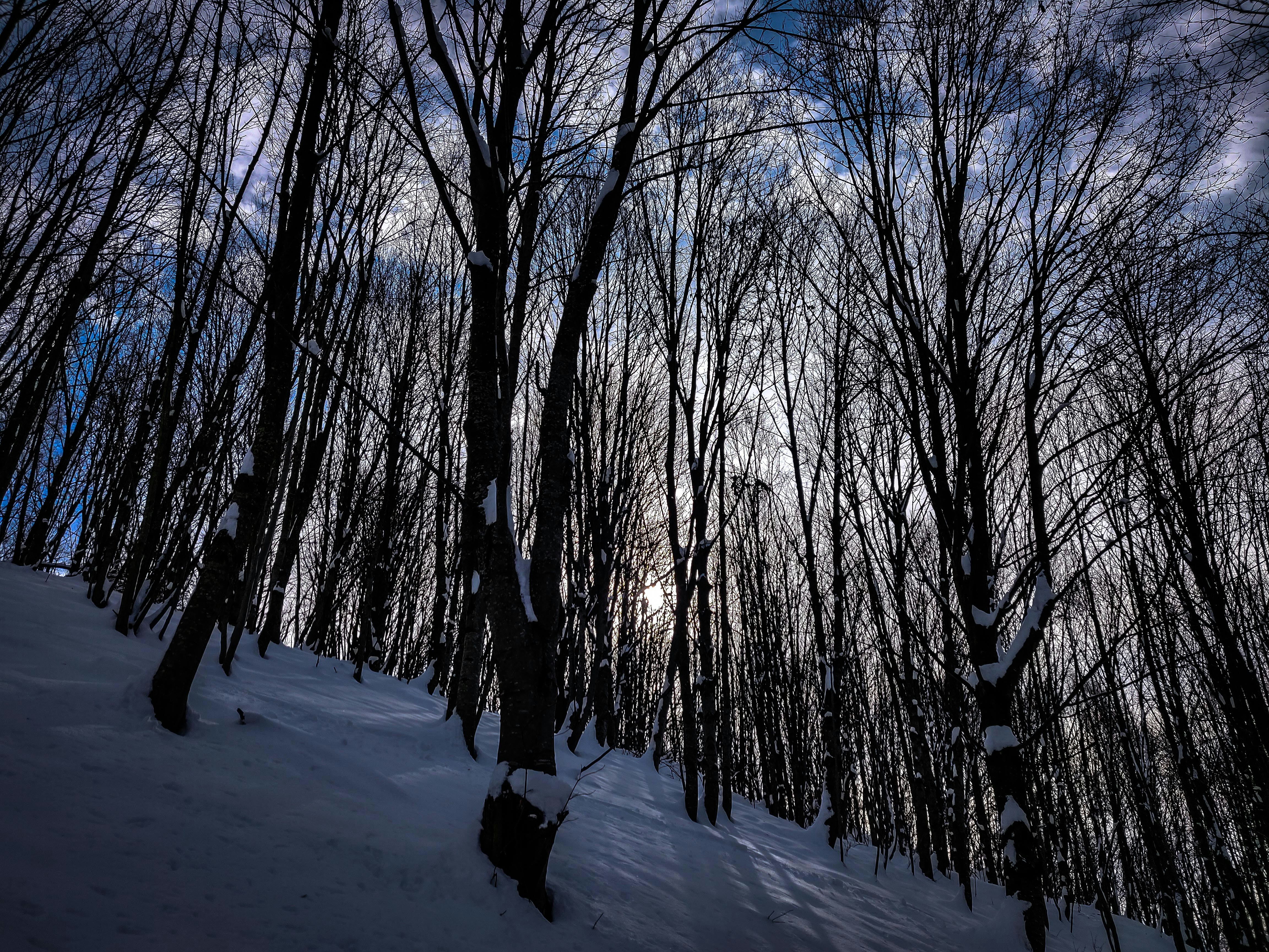 Photo by albertobigoni