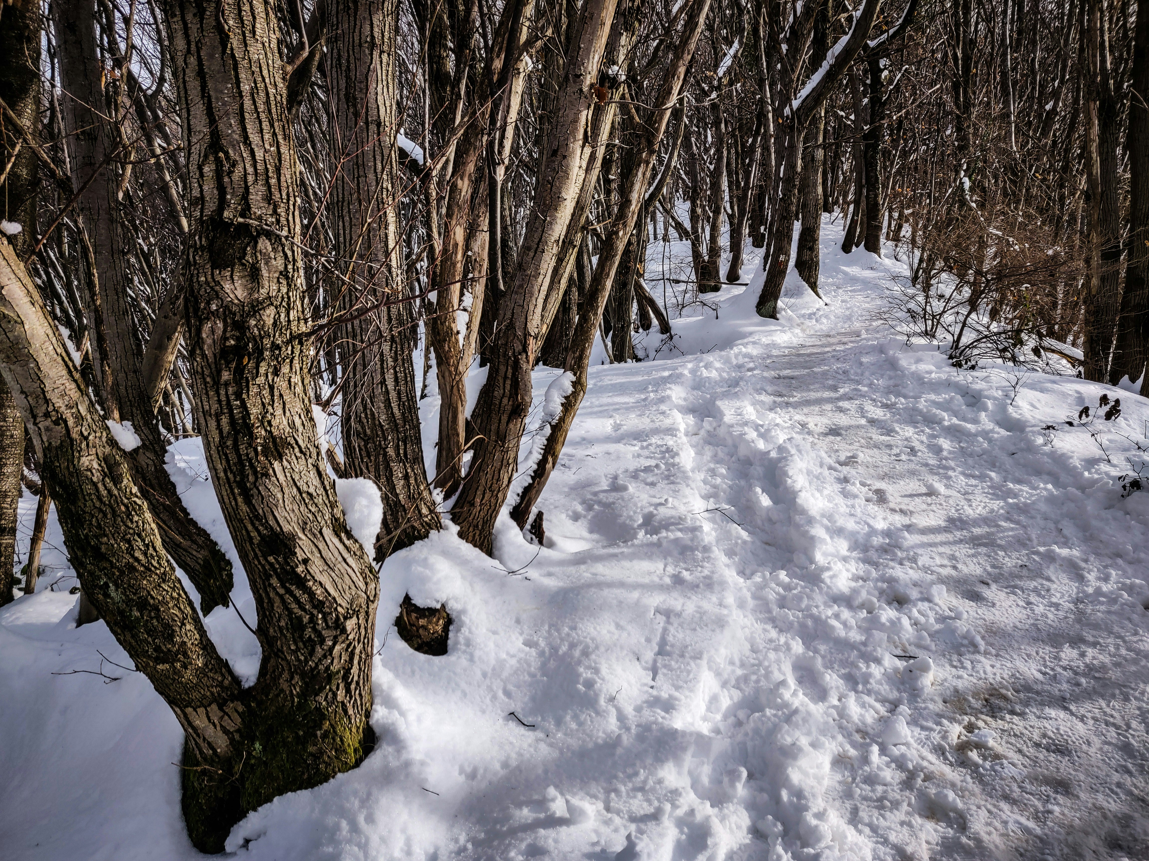 Photo by albertobigoni