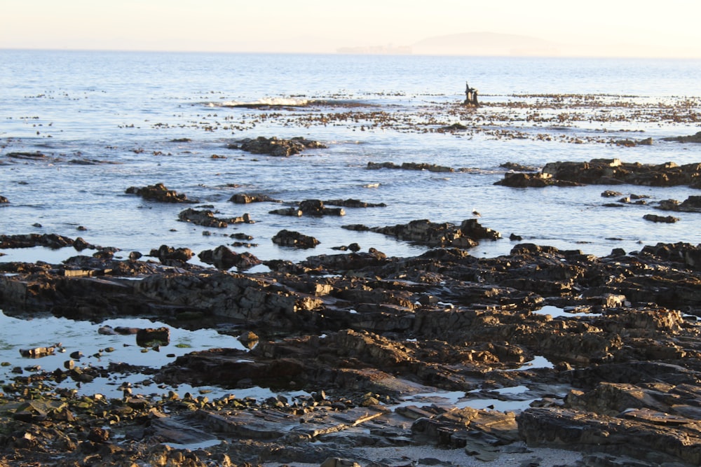 black rocks on sea shore during daytime