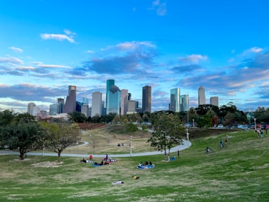 people sitting on green grass field near city buildings during daytime