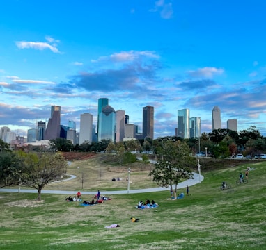 people sitting on green grass field near city buildings during daytime