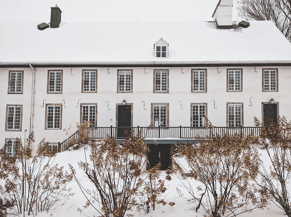 white concrete building near bare trees during daytime