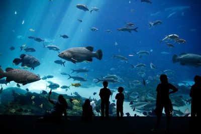 A large aquarium filled with diverse species of fish swimming against a blue background. Silhouettes of people, including children, stand in the foreground looking at the marine life.