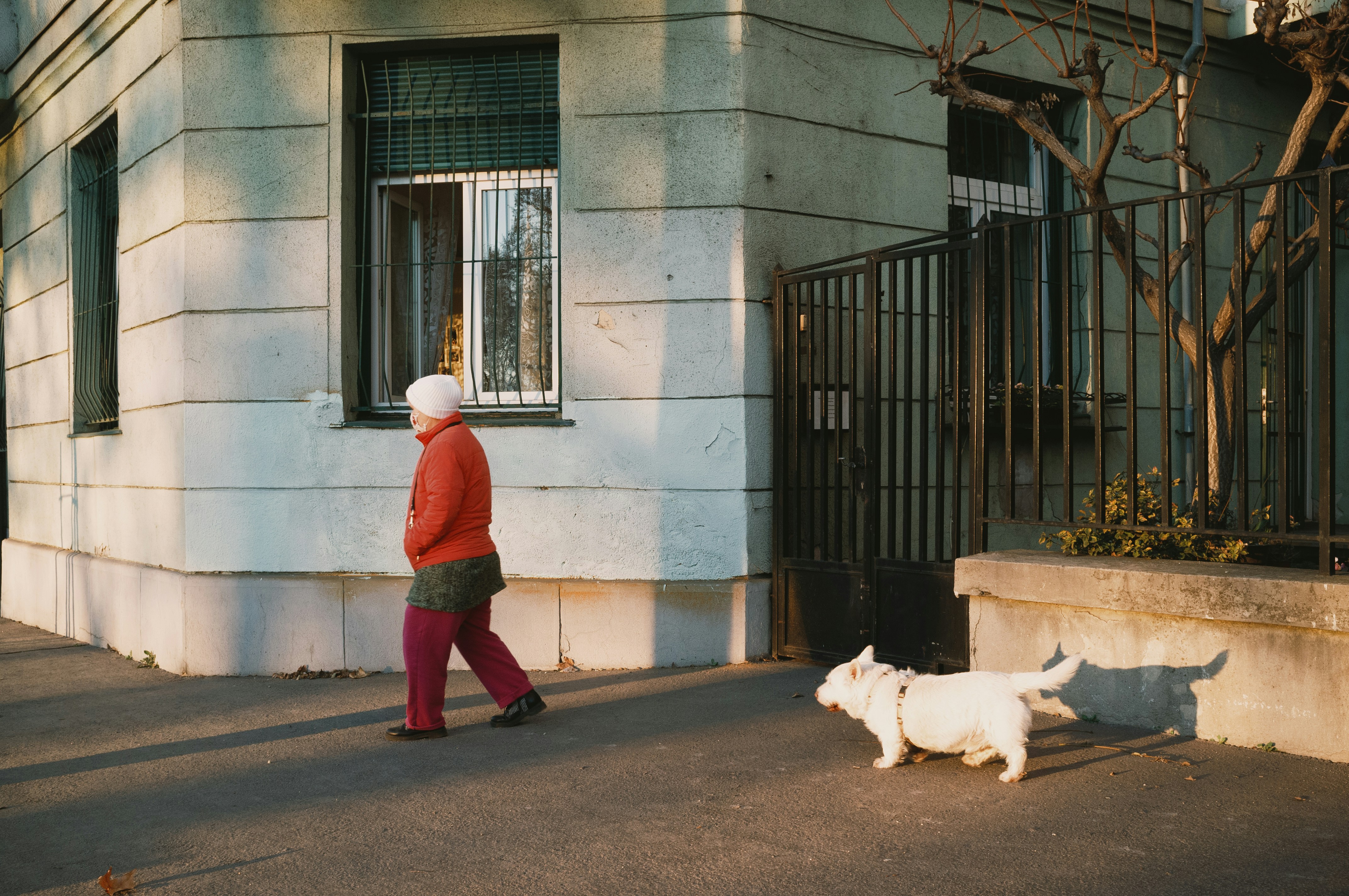 Man in plaid shirt standing beside a white dog