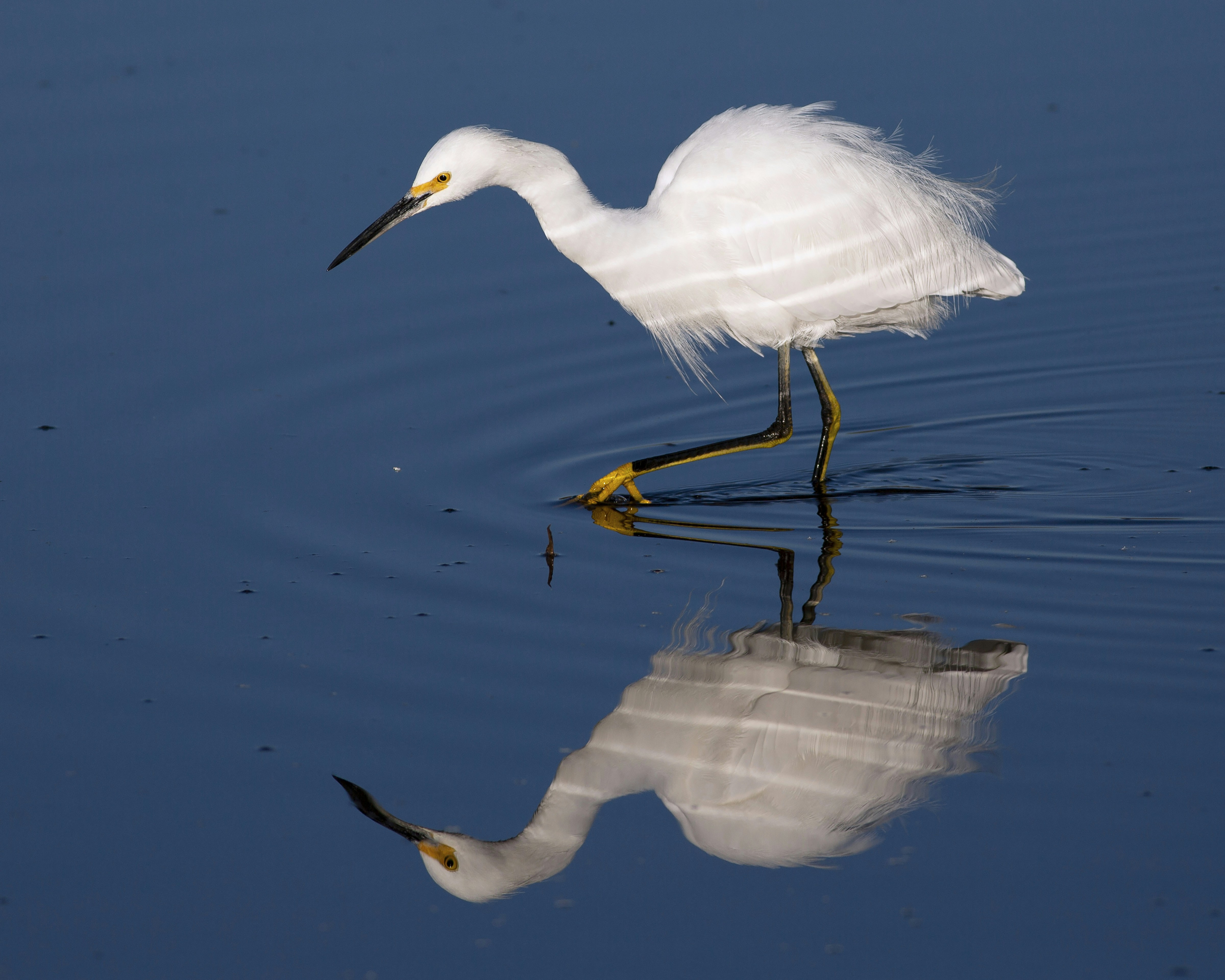 Photo by canonman_5d